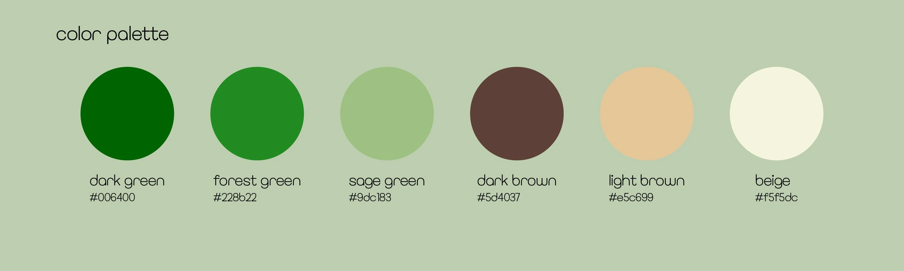 Color Palette