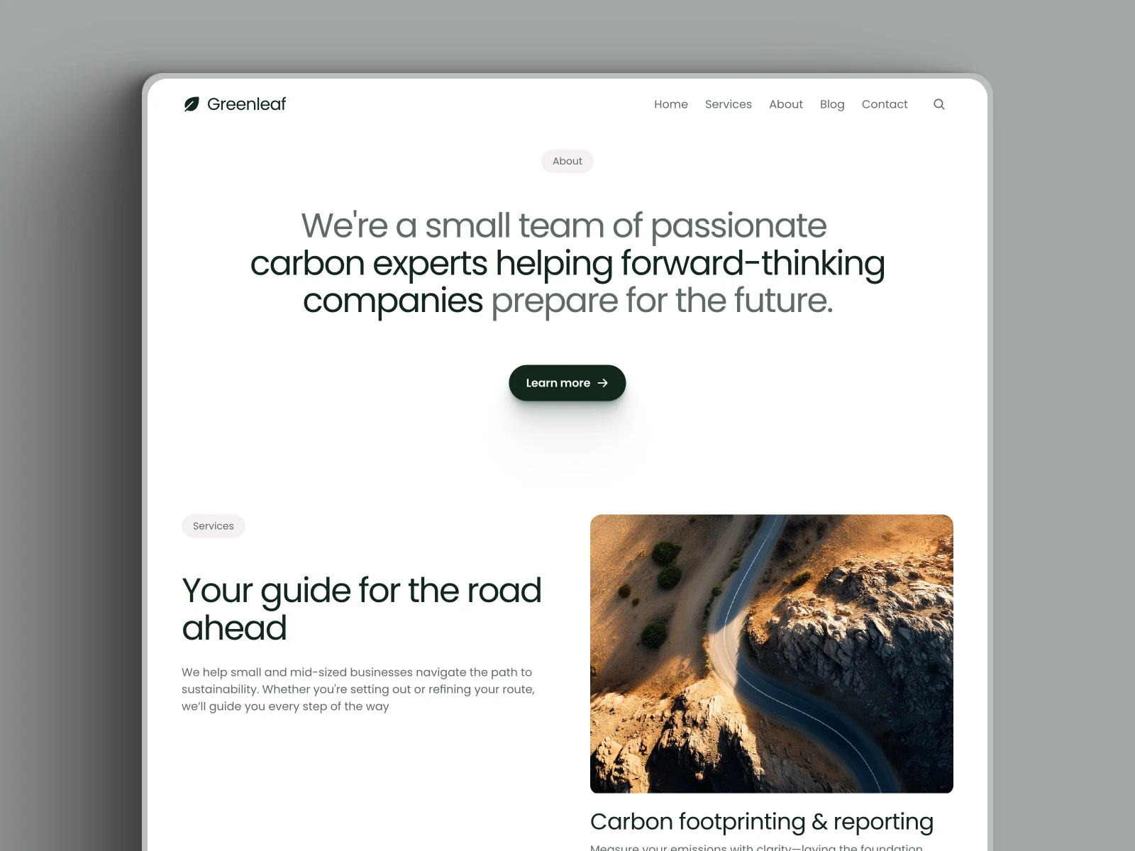 About and Services