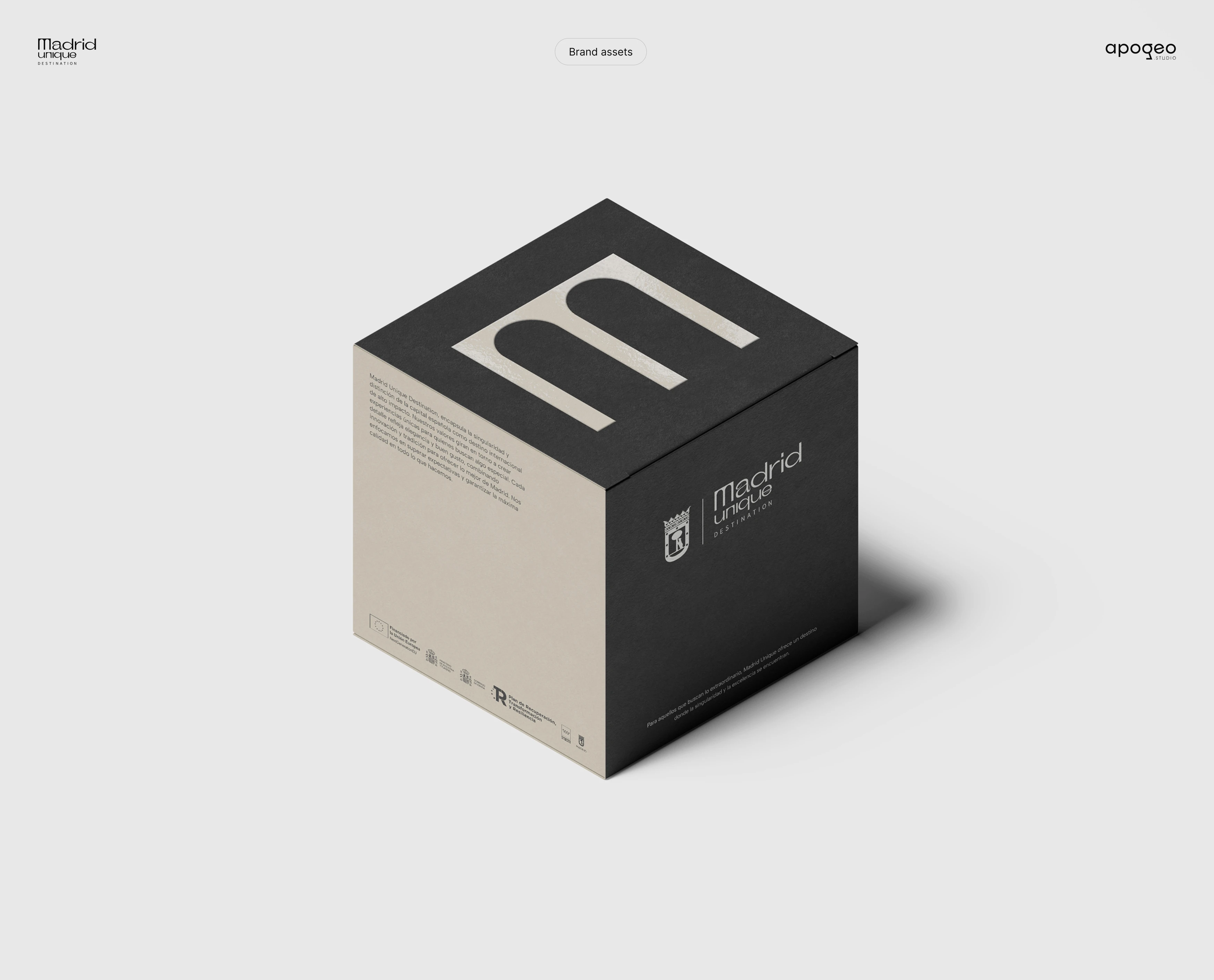 Brand assets for their launch event.