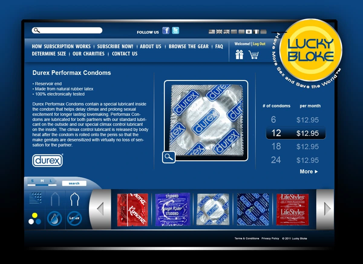 Website Design - One of several designs presented.