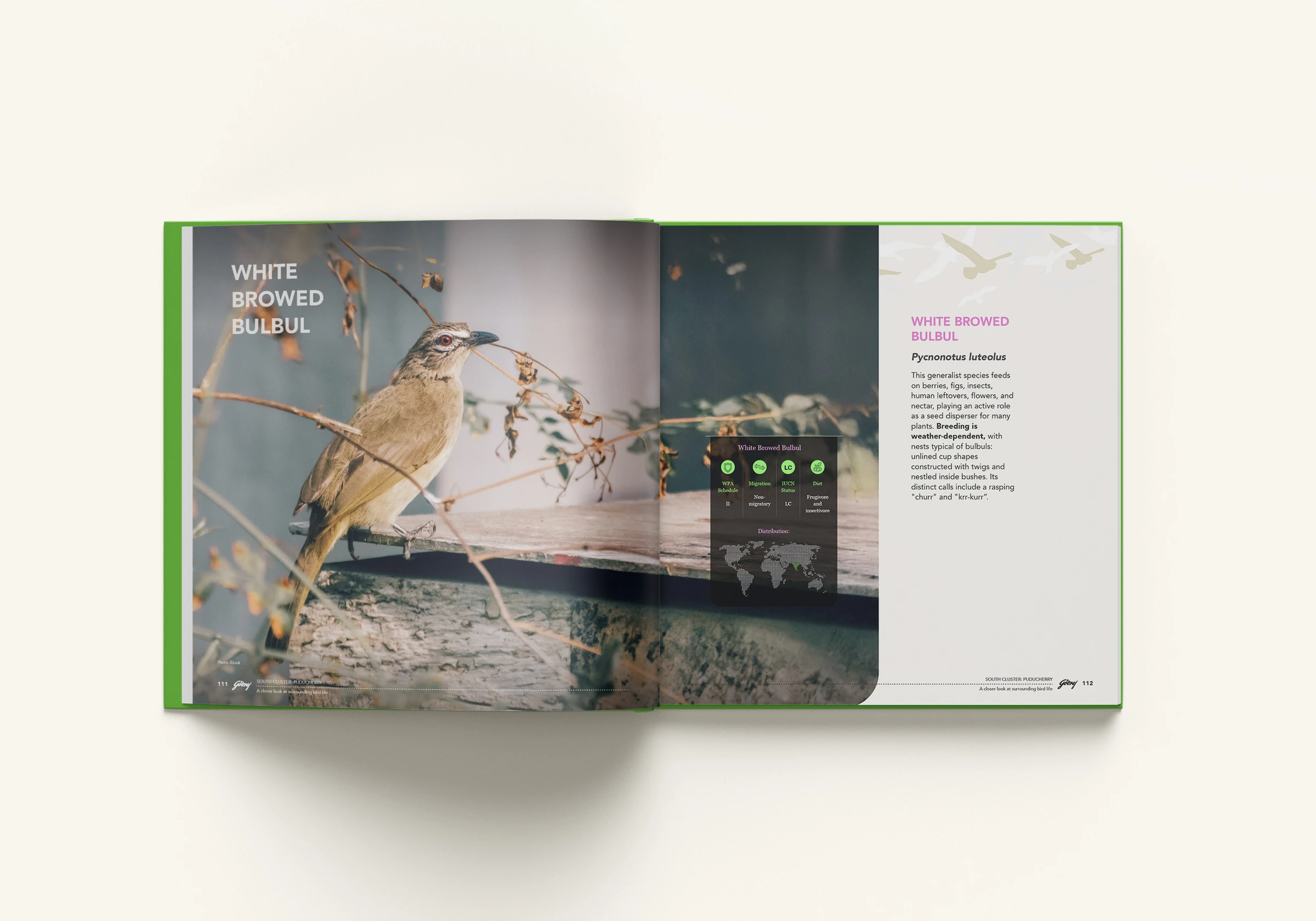 Inside Page Layout