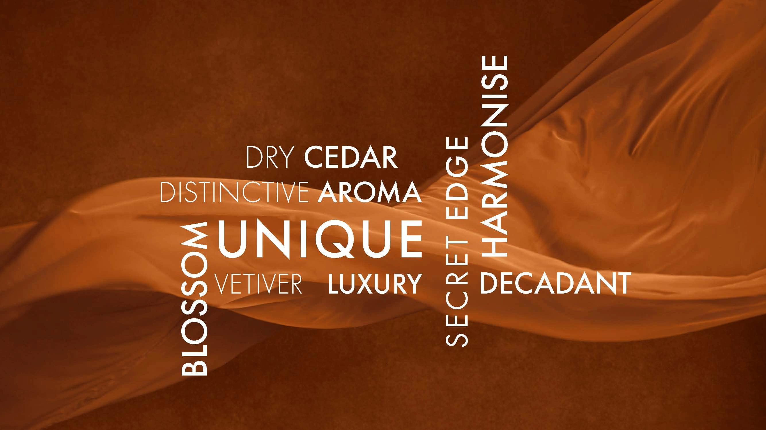 WORD CLOUD - CAPTURING THE ESSENCE OF THE FRAGRANCE PACKAGING AND SCENT