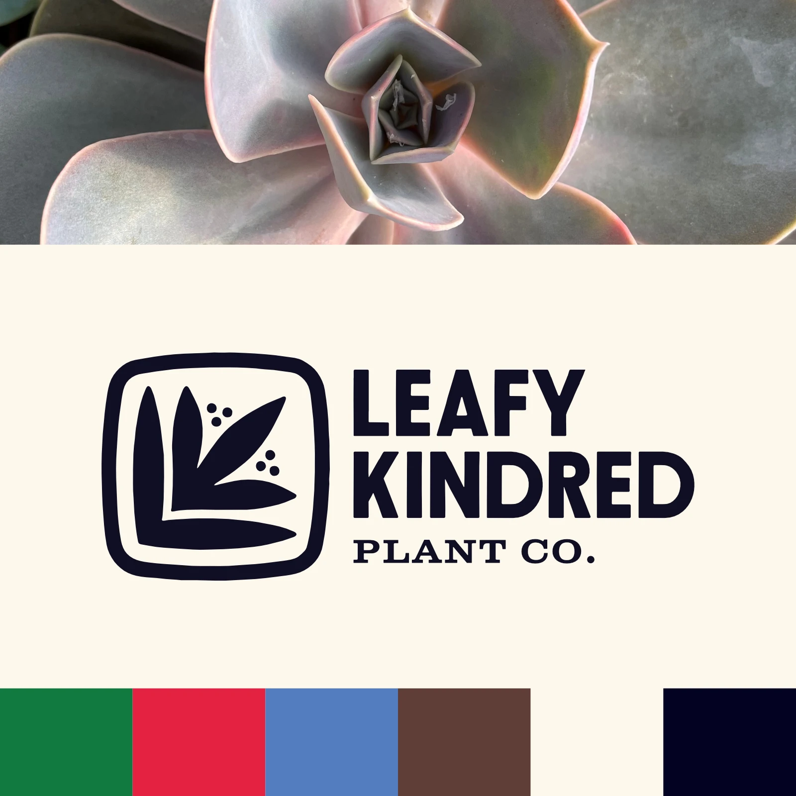 Black and white logo variation and brand colors.