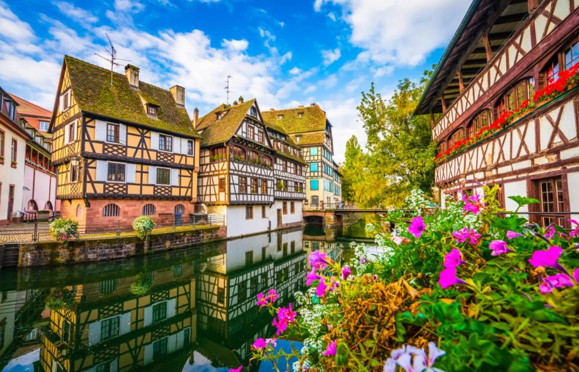 Alsatian Cuisine: Explore Flammekueche, Pot au Feu, Coq au Riesling, and More
