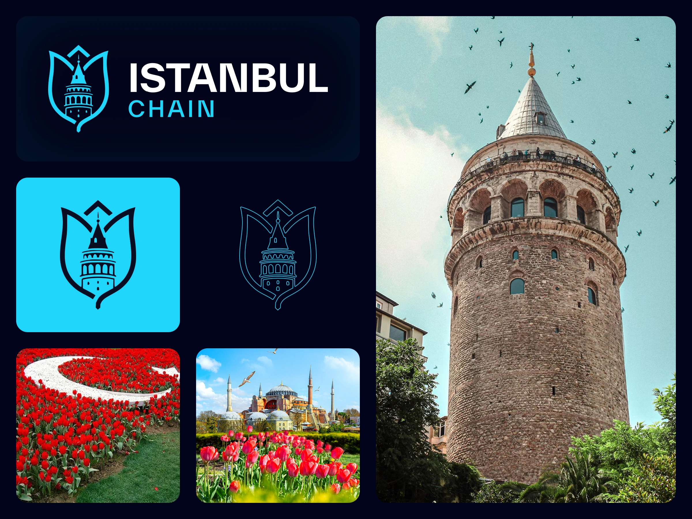 A logo born from Istanbul itself — blending the timeless silhouette of Galata Tower with the elegance of tulip motifs, symbolizing trust, unity, and the vibrant spirit of a city that bridges cultures, now reimagined for the future of Web3.