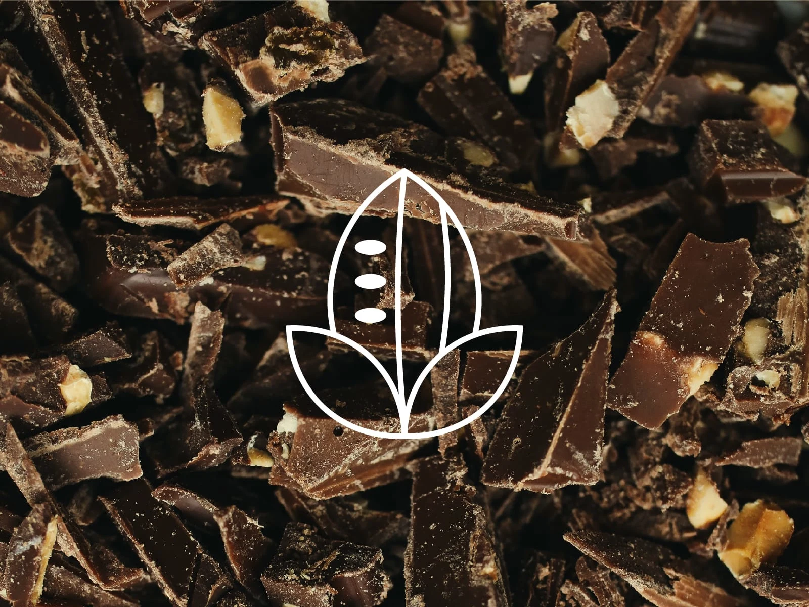 Brand Imagery