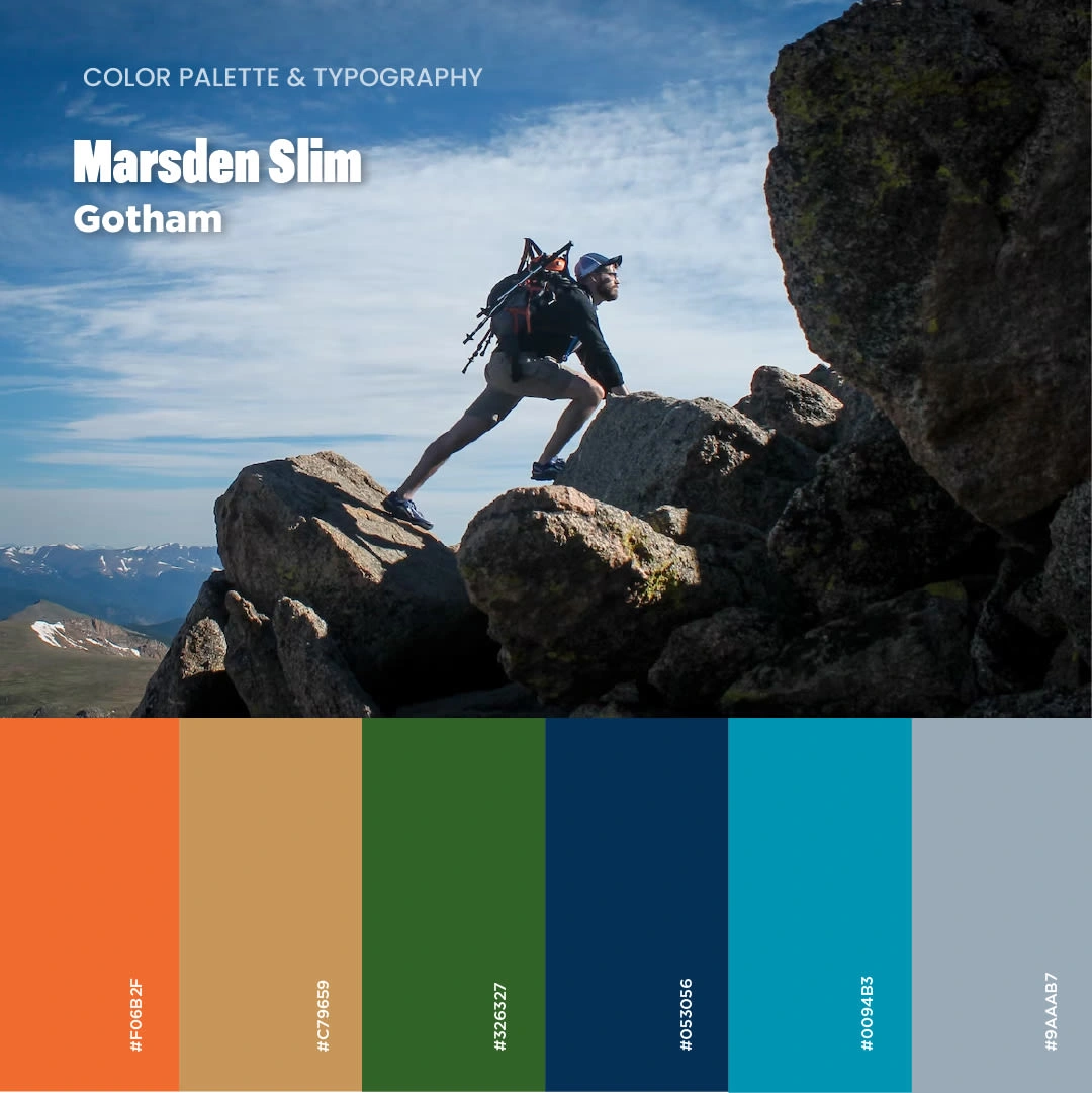 Color palette & typographies