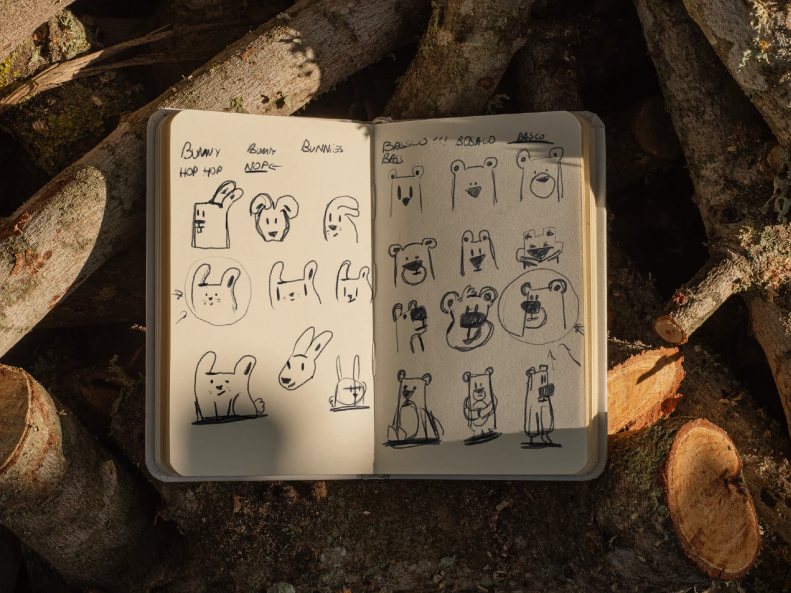 Sketches