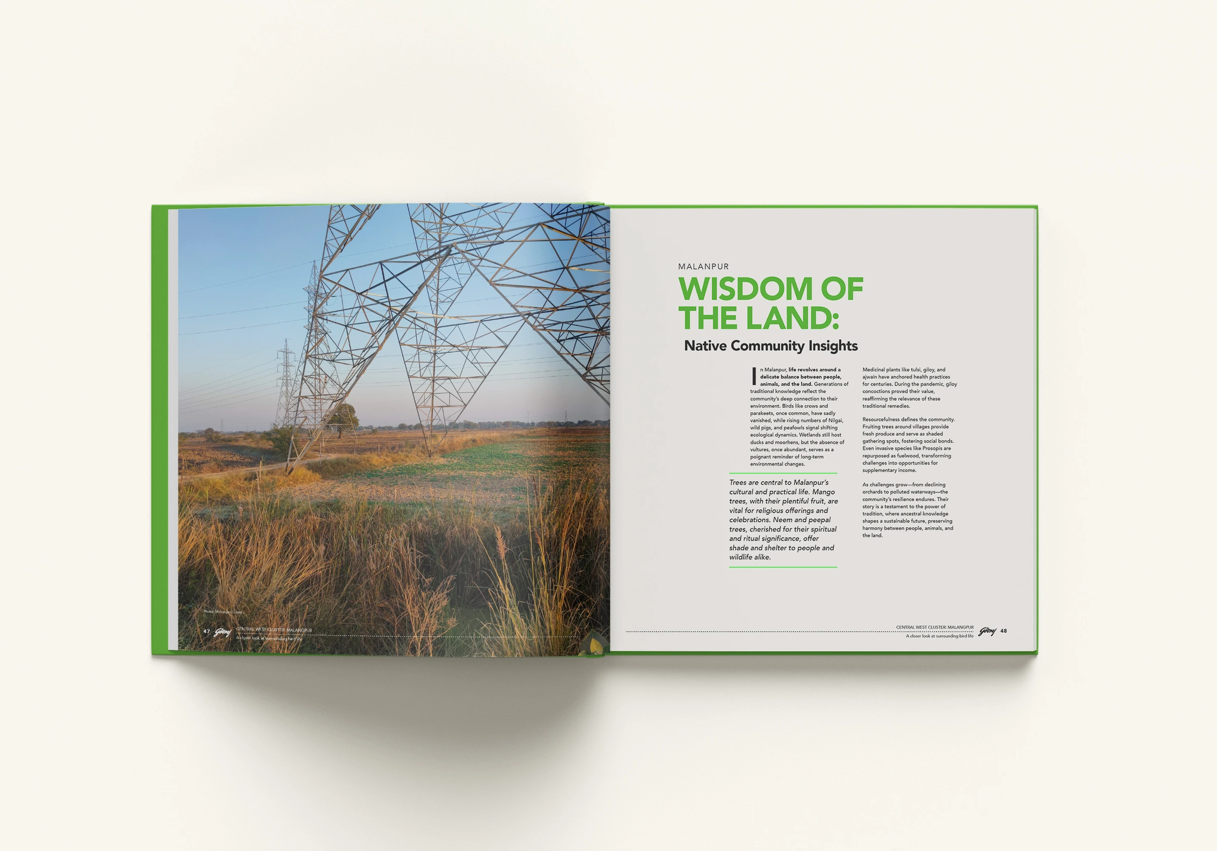 Native Community Insights