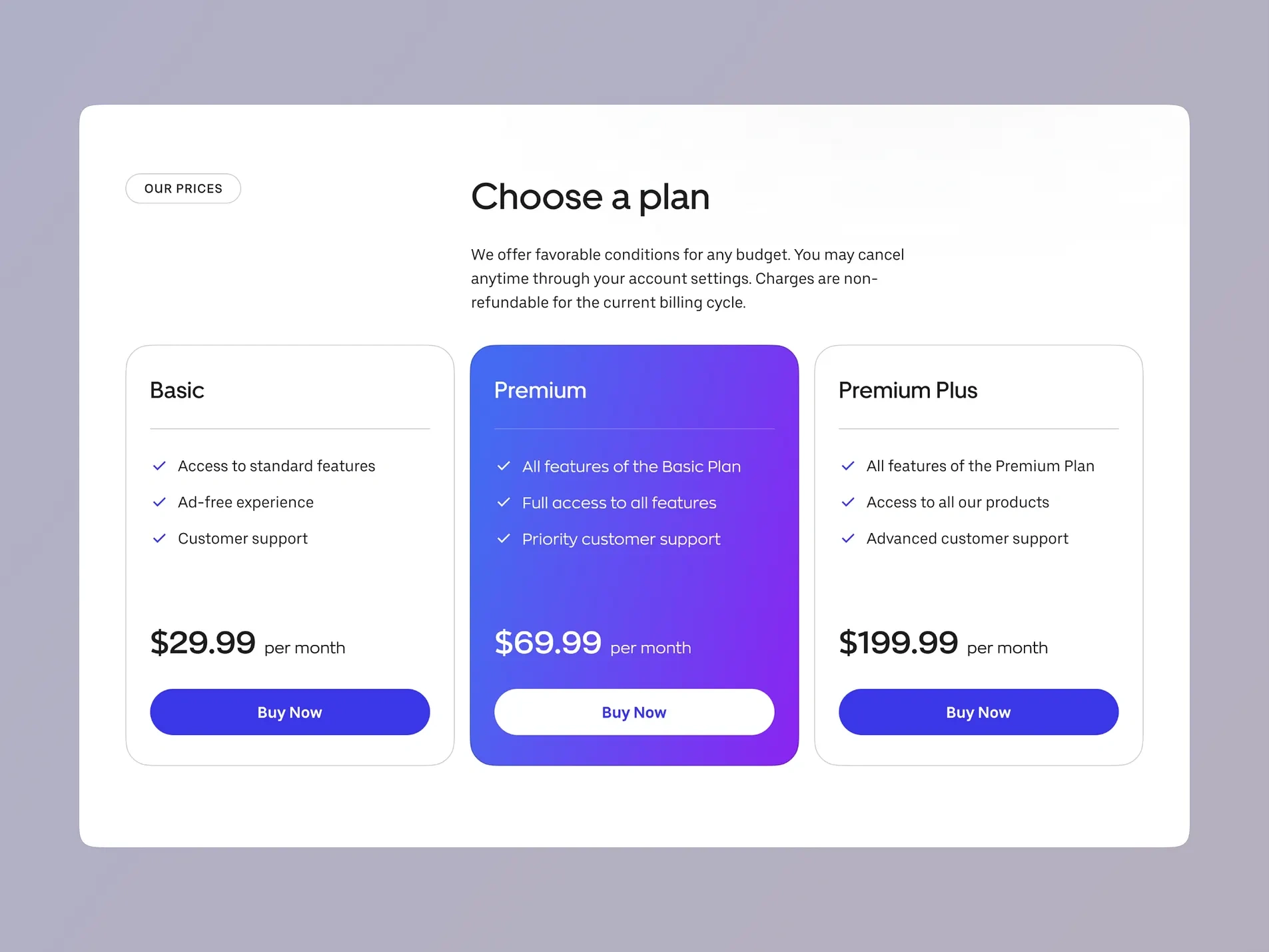 Sales Radar — Conversion-Driven Web App Landing Page 
