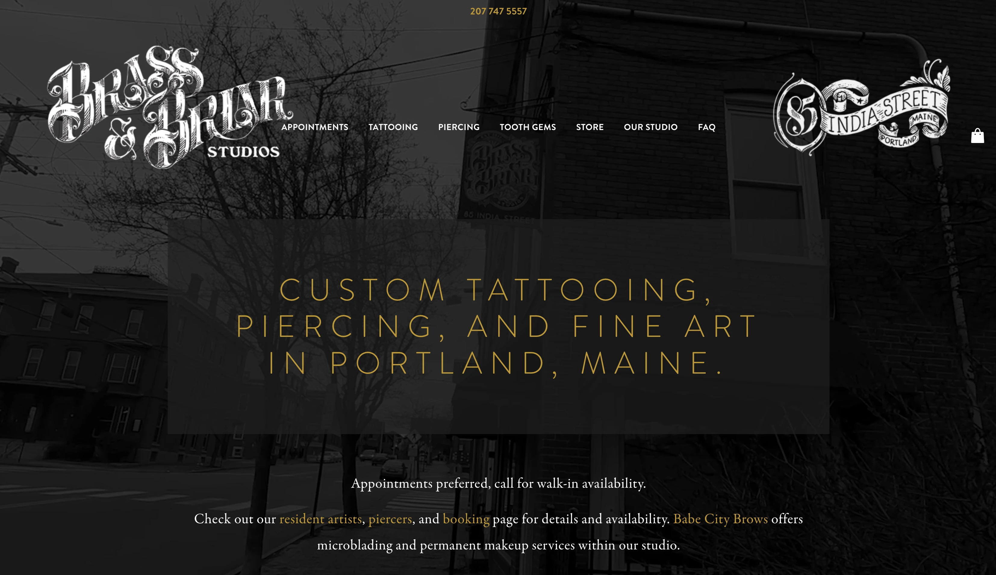 Brass and Briar Studios homepage with clear messaging guiding visitors to easily find the services they need.