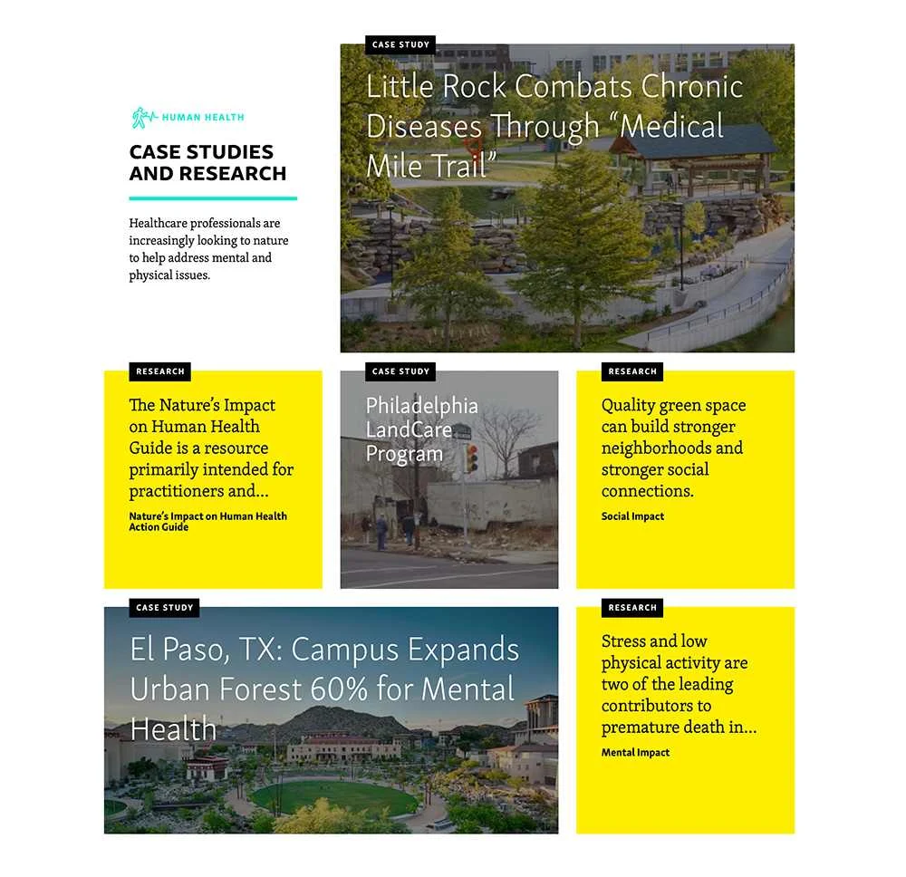 Grid for browsing research, repeated throughout the site
