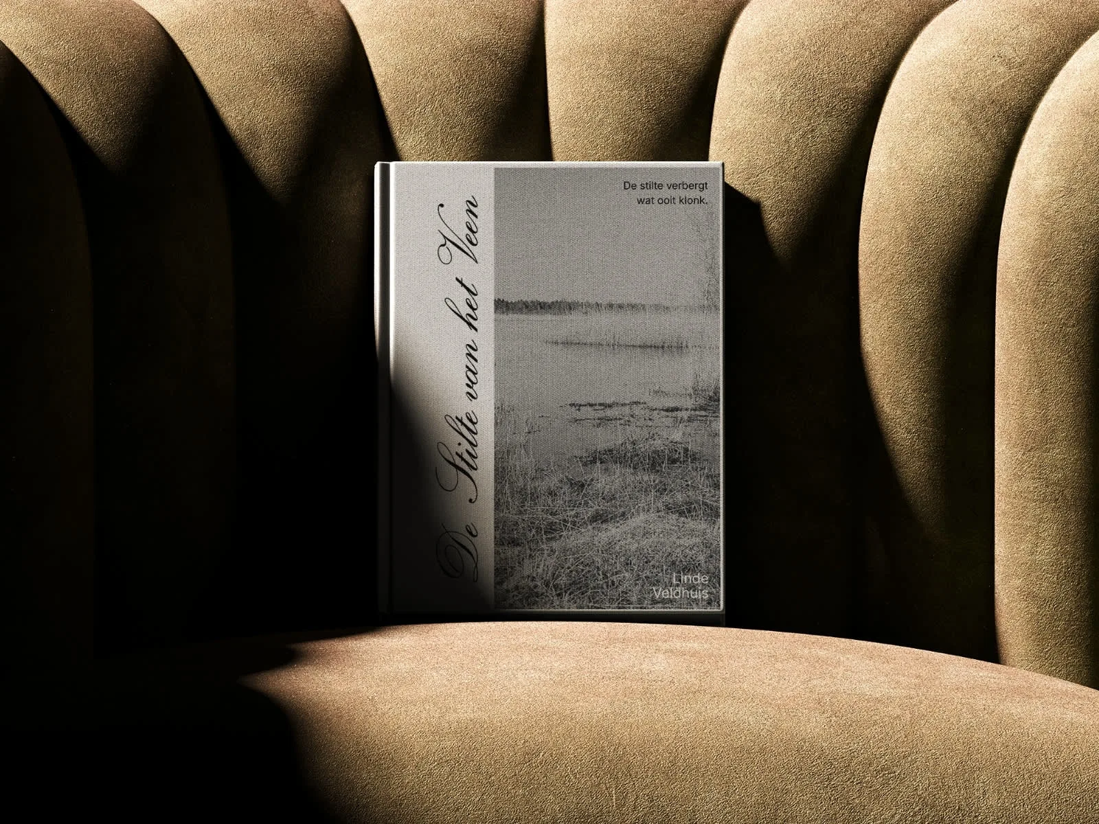 A minimal, atmospheric cover capturing the quiet landscape of the Dutch veen and the memory-driven narrative behind the story.