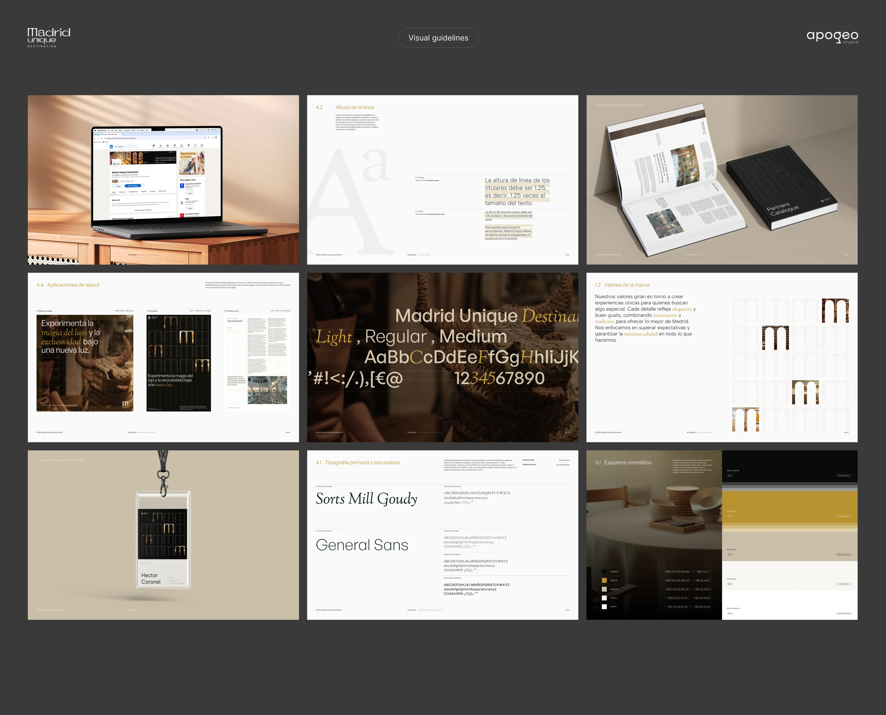 Visual guidelines, we help the design team to create a brand book aligning the their logo design