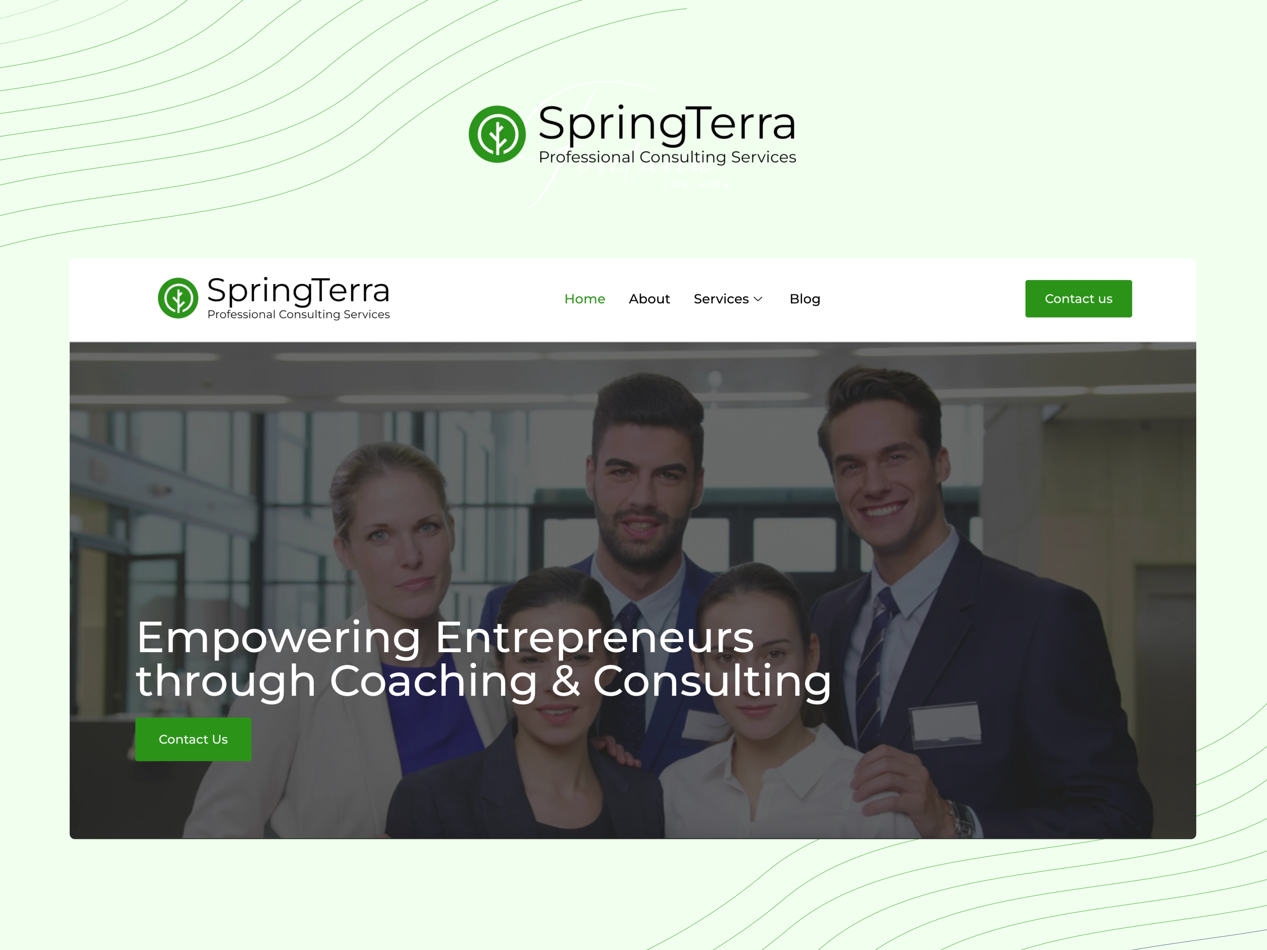 SpringTerra Website design and development 
