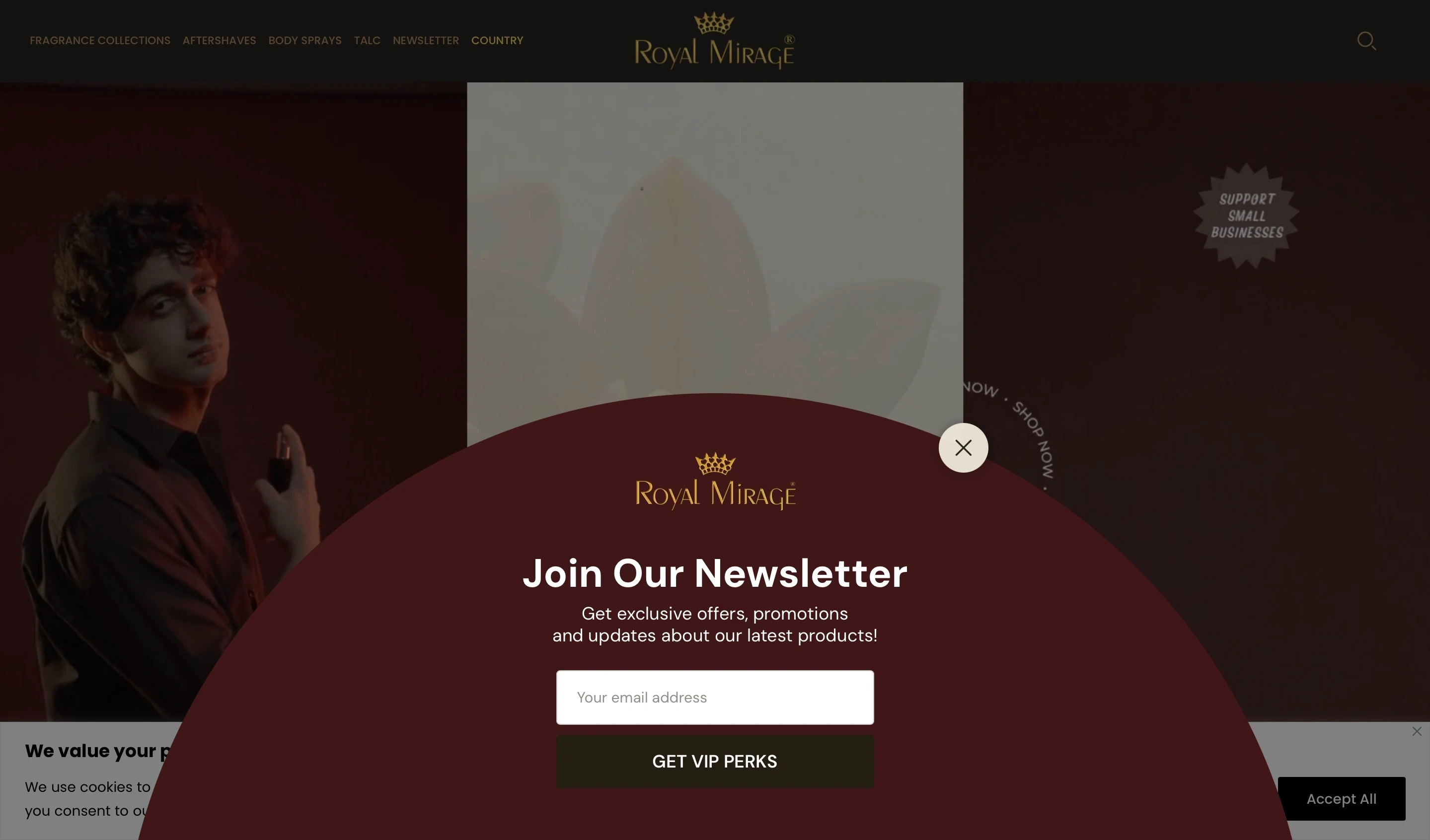 Website Home Page featuring Newsletter Pop-Up
