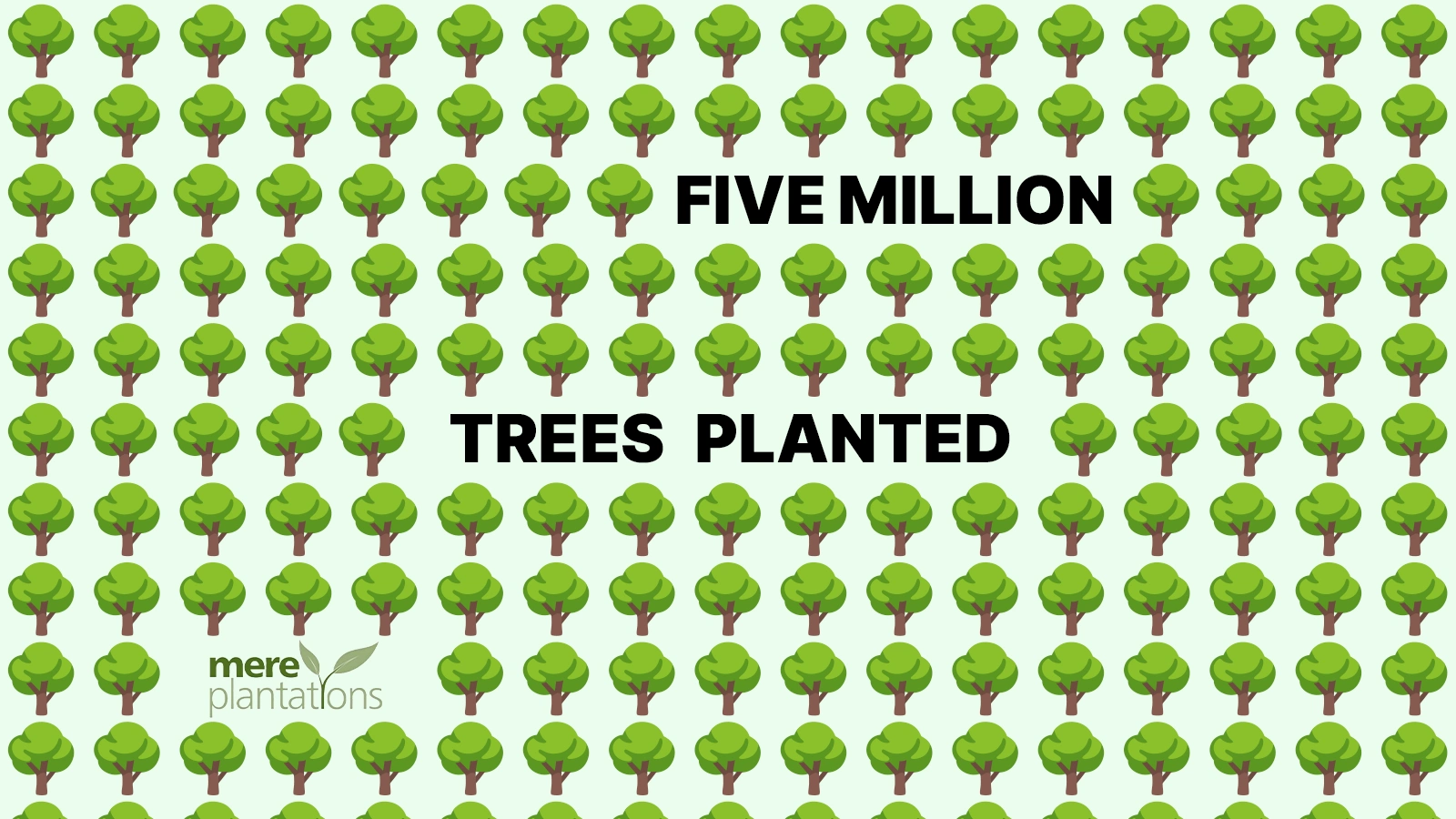 Content featuring Fig's verified reforestation project partner