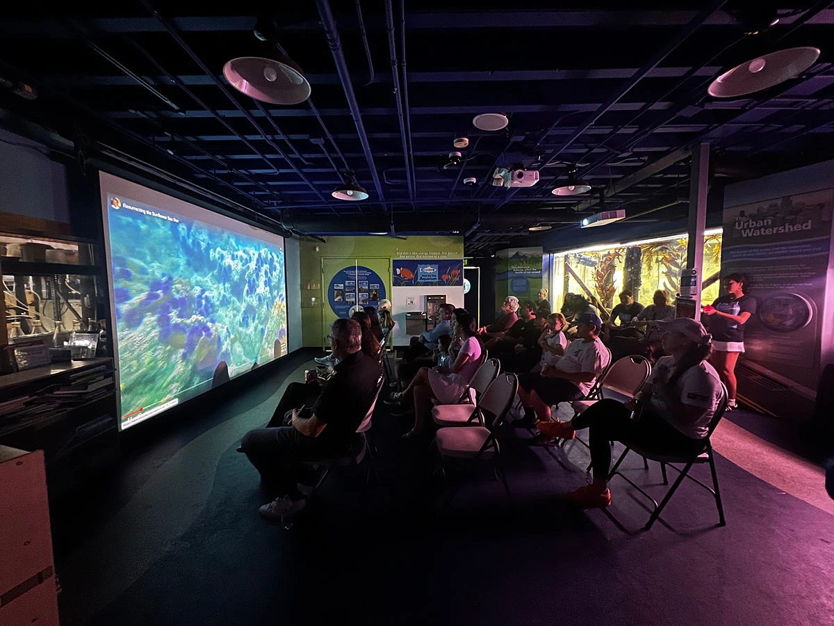 Public gather to watch the film