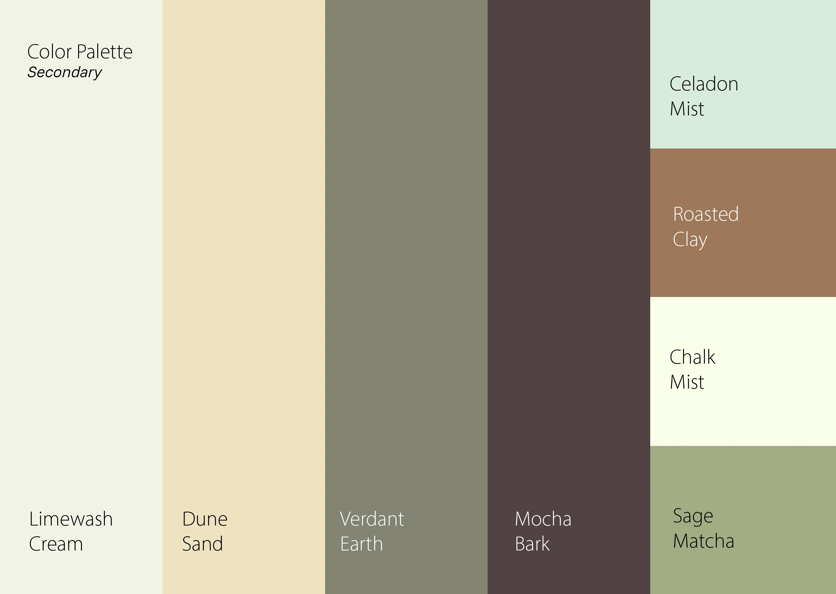 Clay & Bean secondary color palette featuring Limewash Cream, Dune Sand, Verdant Earth, and Mocha Bark
