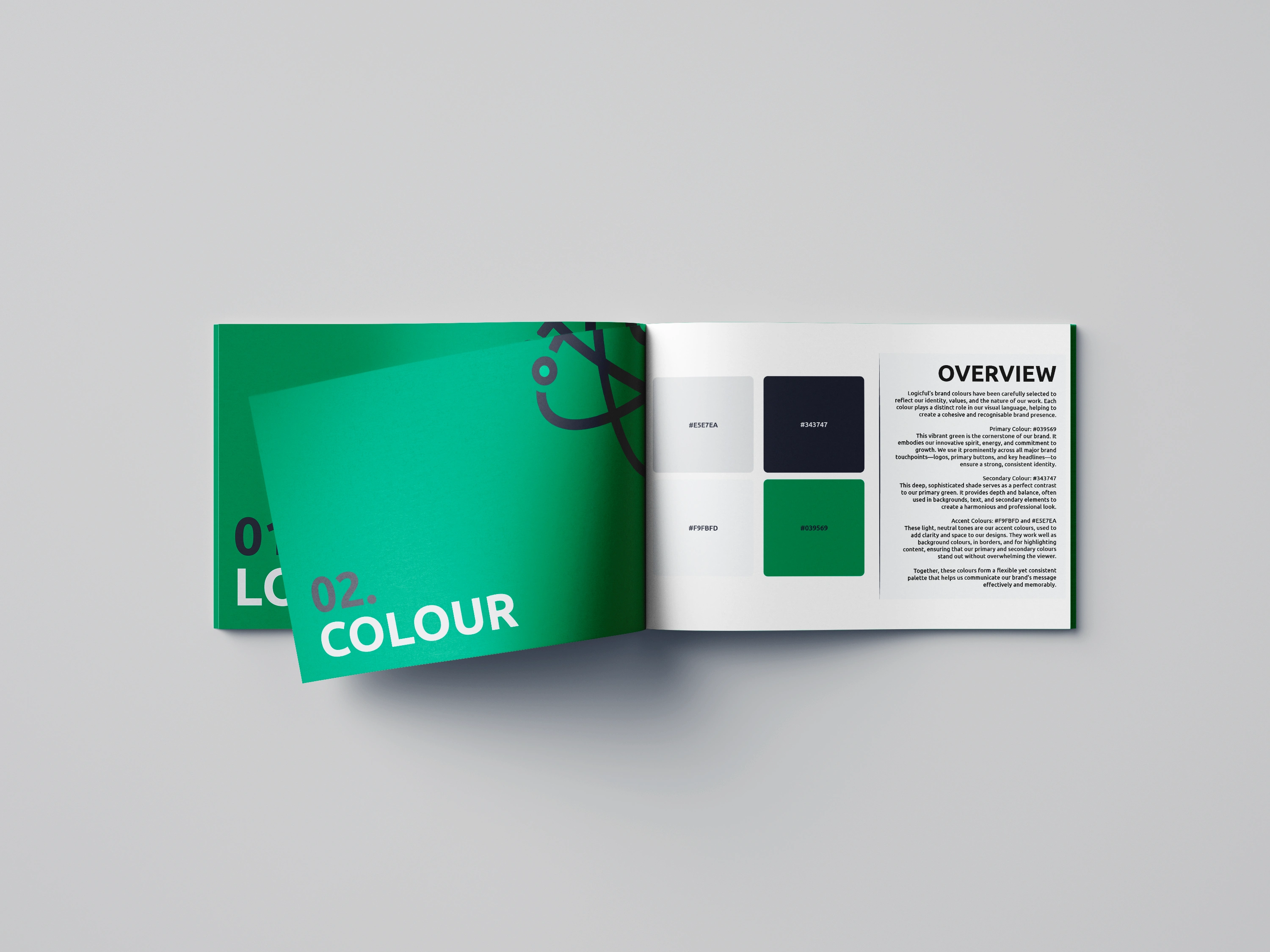 Brand guidelines booklet