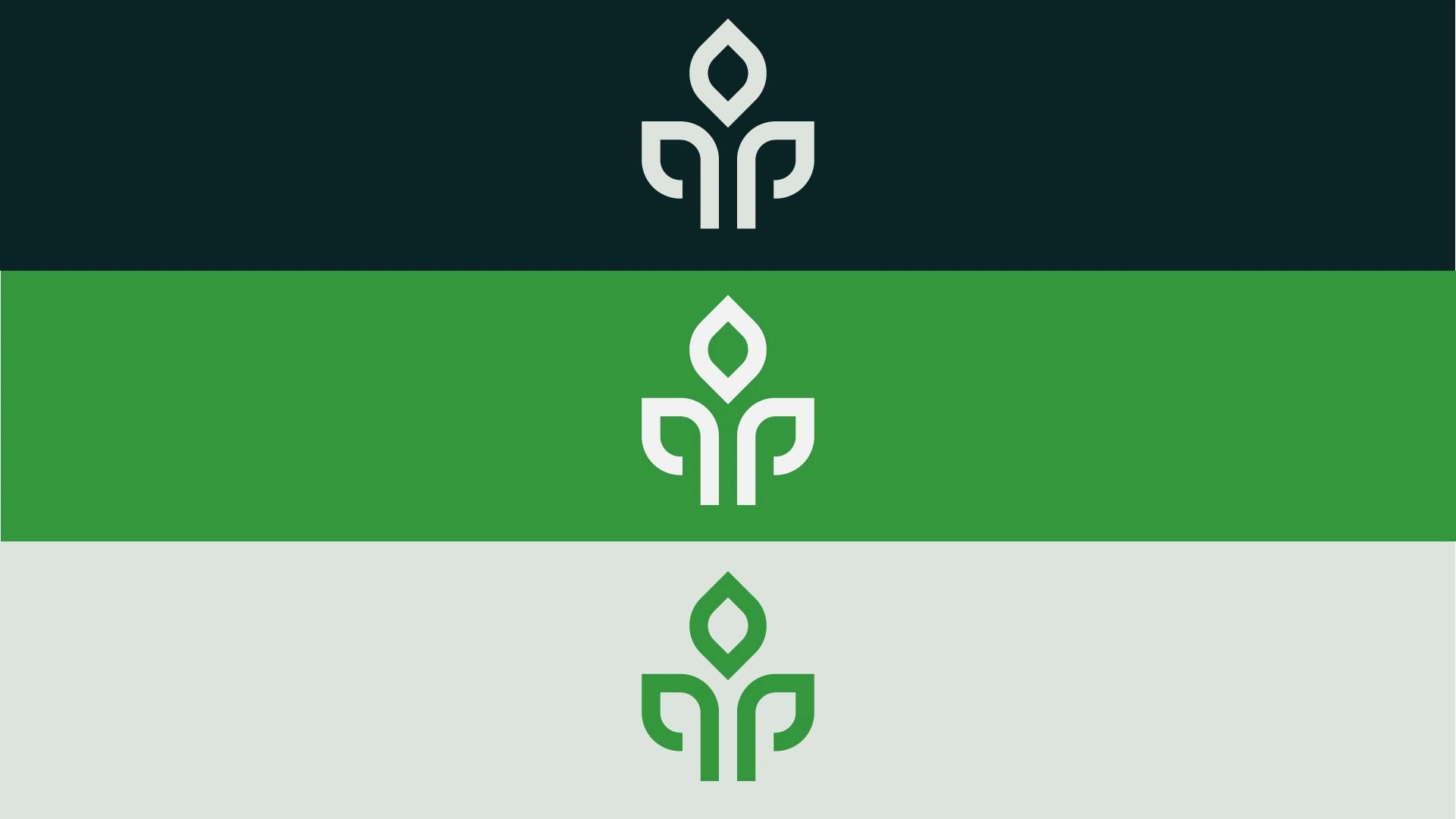 Logo variations