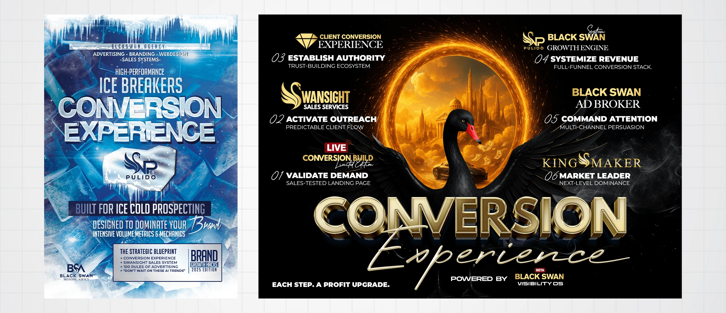 The full Black Swan Conversion Experience—built to turn cold leads into market leaders, one strategic step at a time.