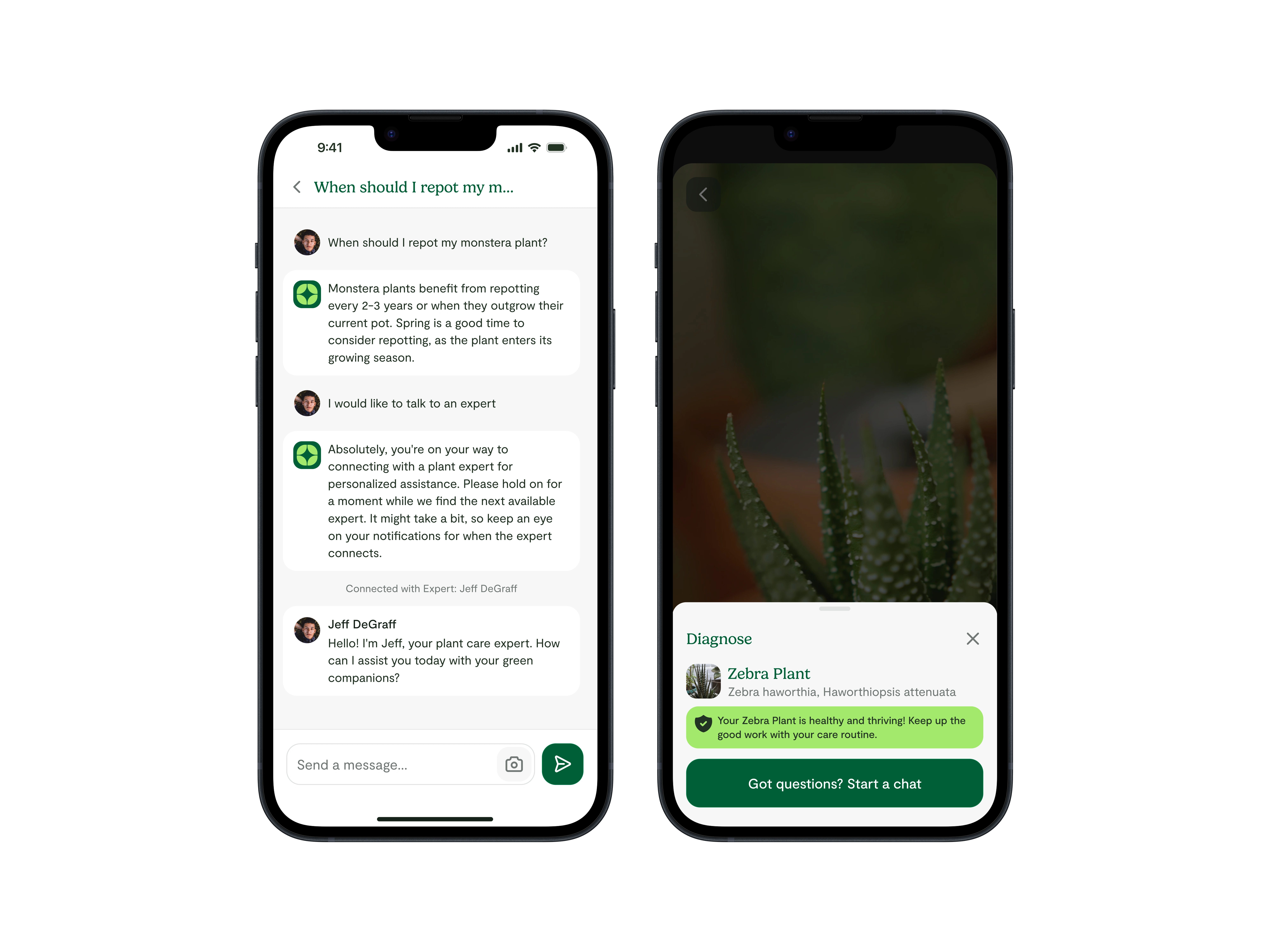 Chat and Plant diagnosis