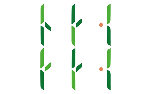 Visual patterns created inspired by soy fields, grains and leaves.