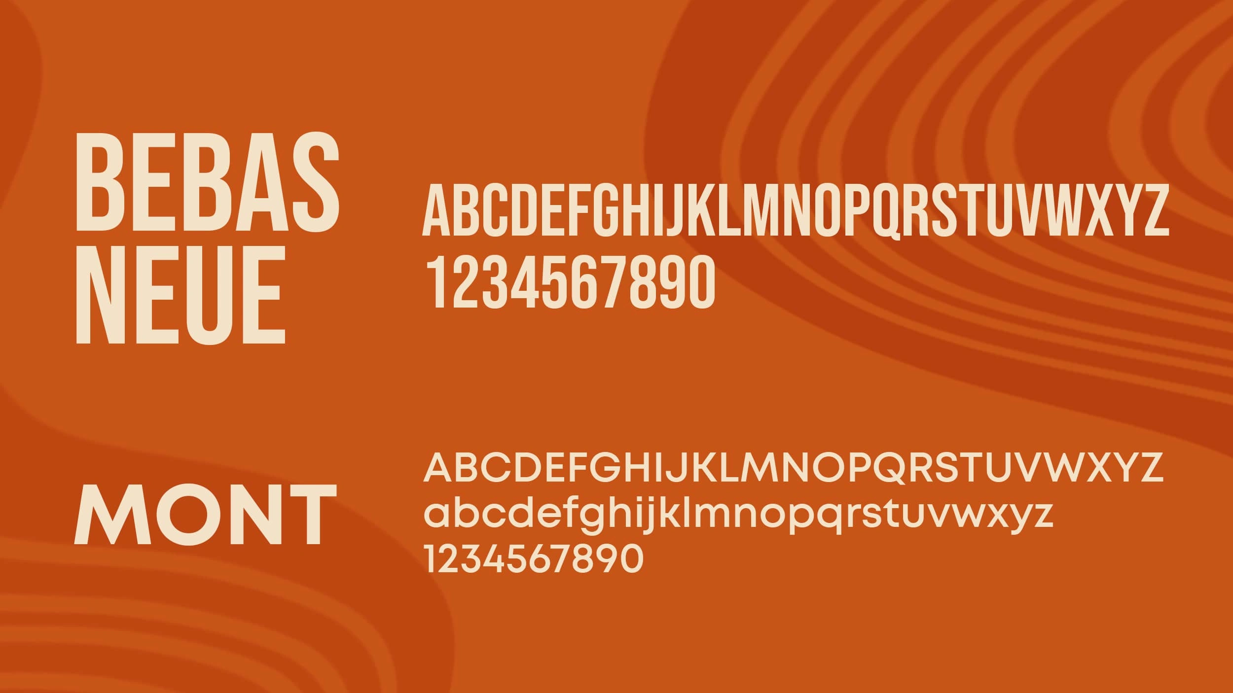 Typography