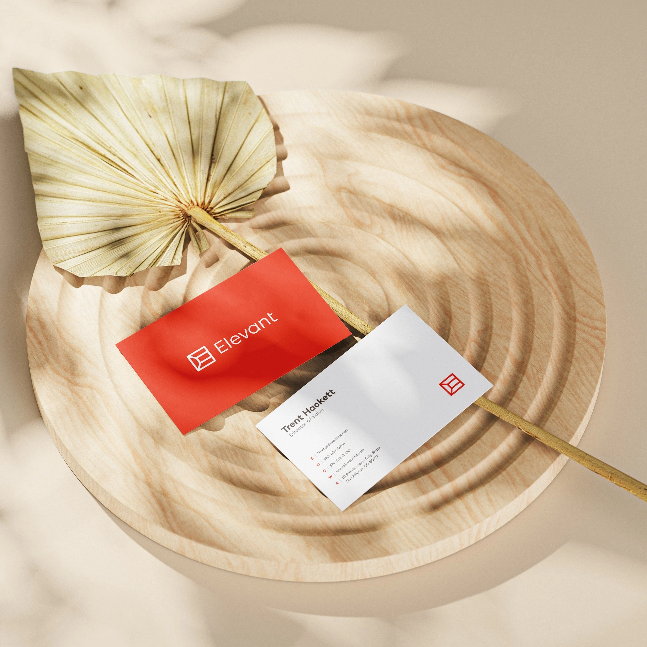 Bold and Modern Branding for a Disruptor Brand