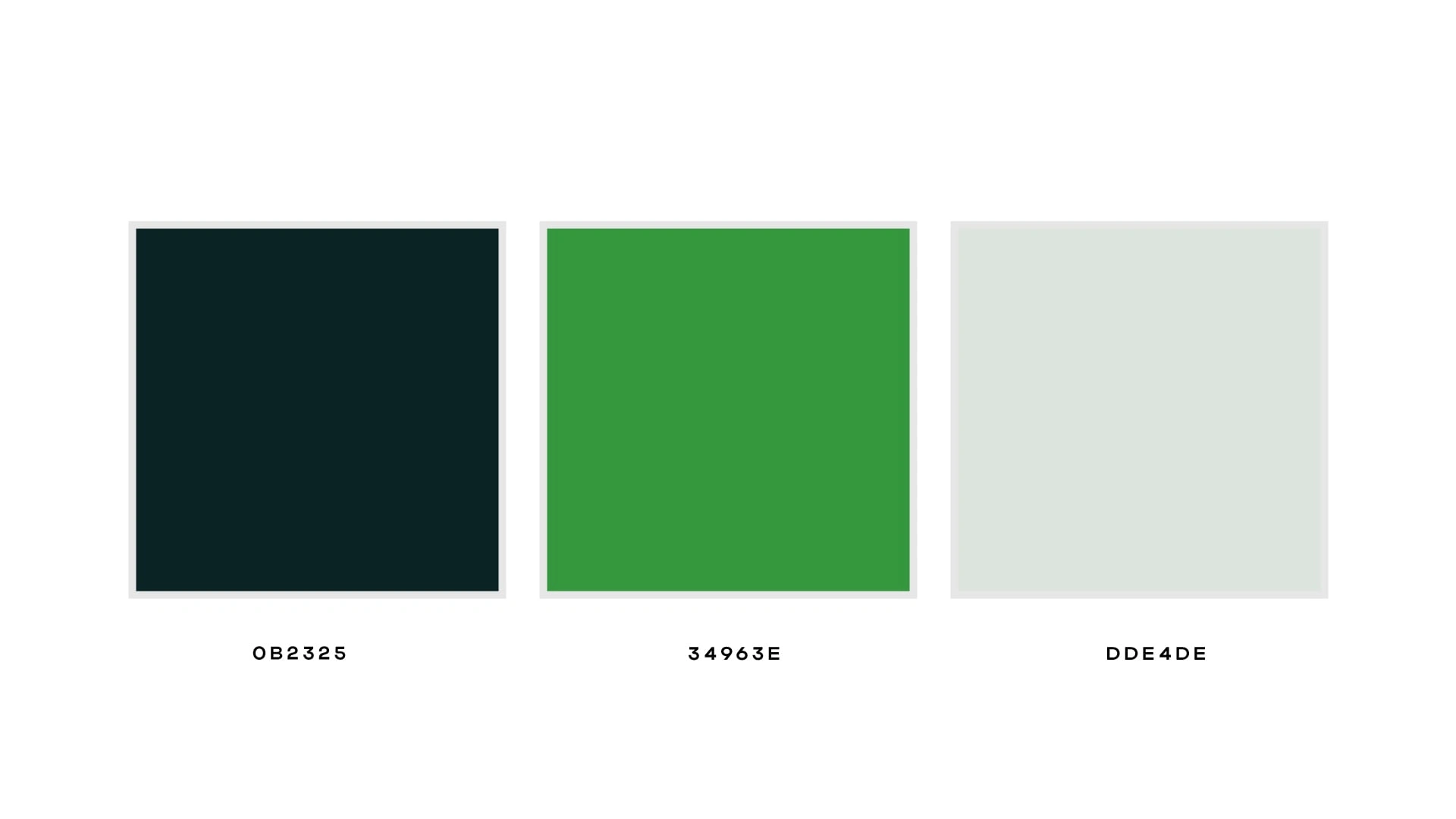 Color Pallete