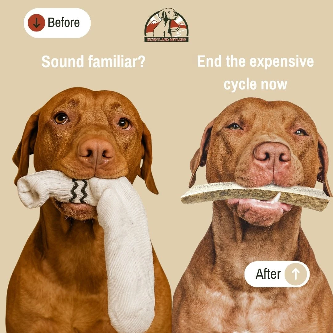 Work created by me, I own all rights