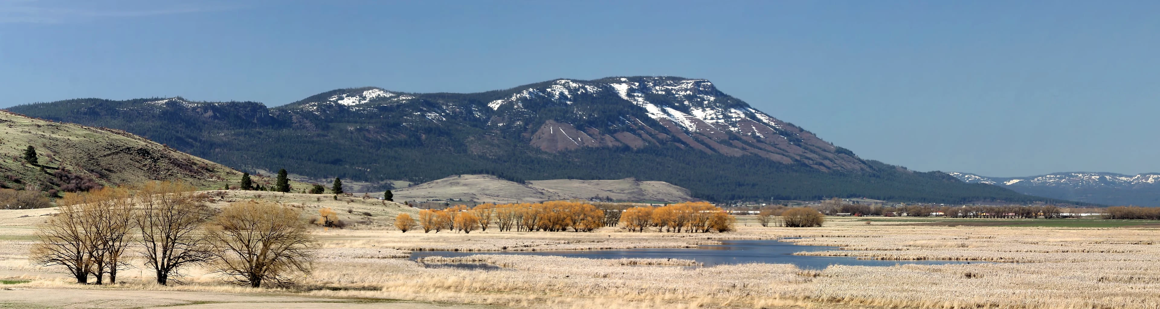 Mt. Emily - the inspiration for the logo