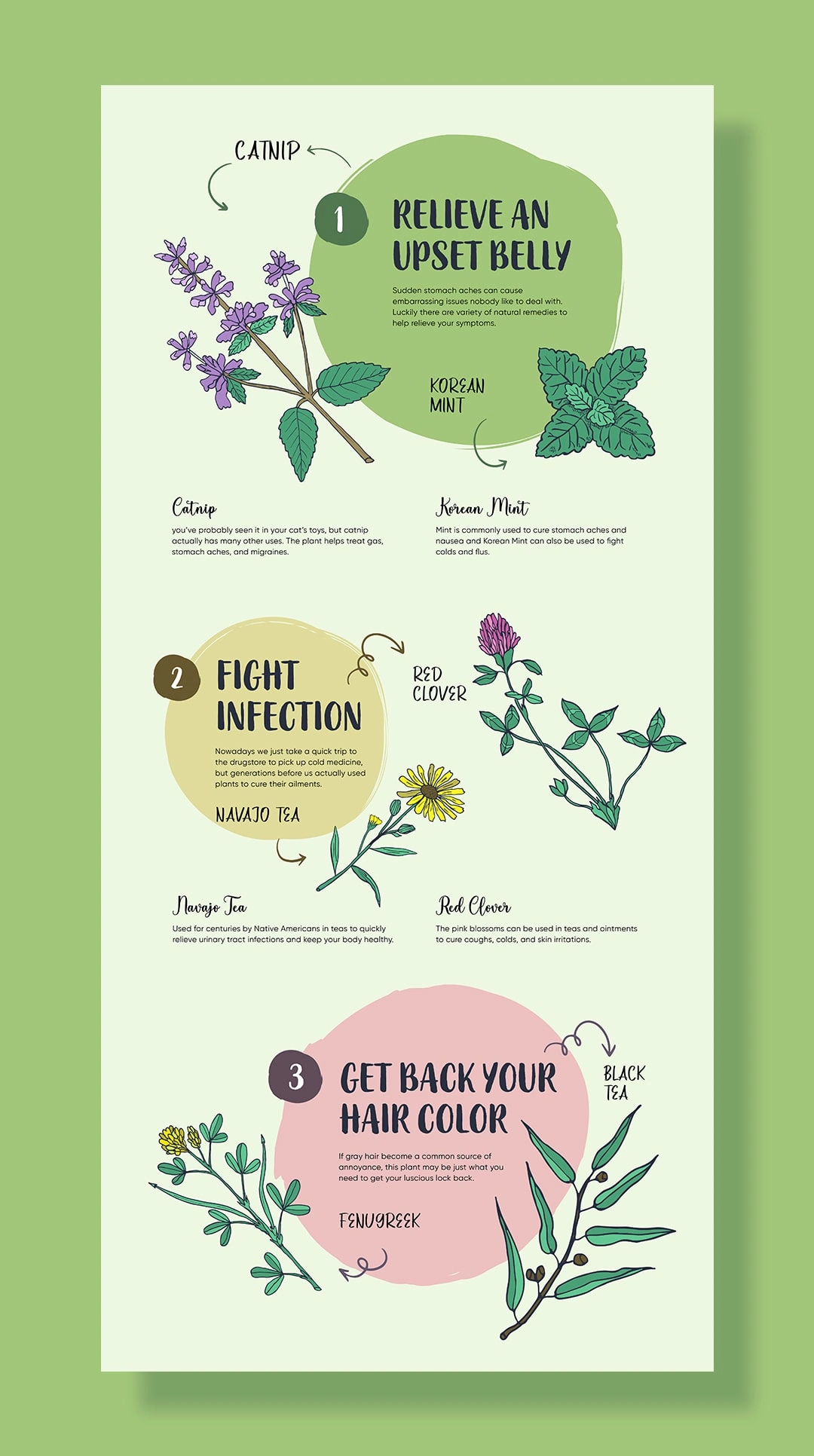 Engaging Educational Content for the Natural Health Market