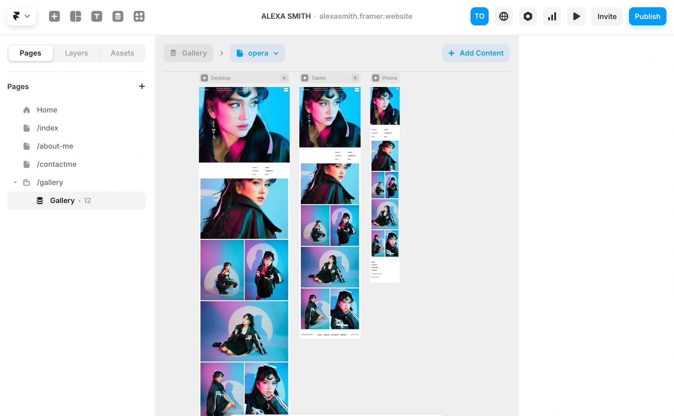 Snippets of the gallery pages built using framer CMS