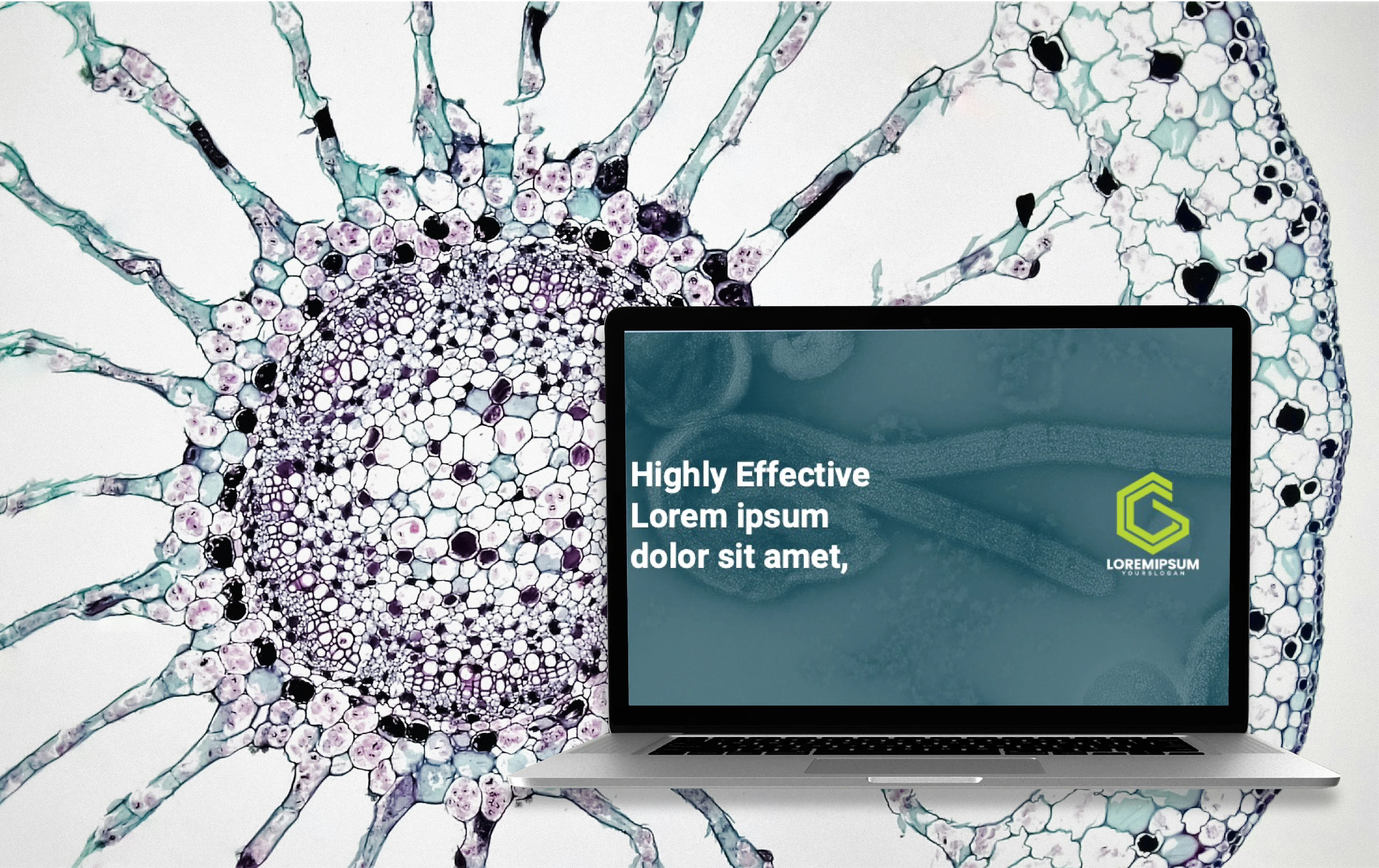 This project is real, but all client-identifying details are withheld under\
NDA—something I’m happy to uphold for your projects as well.