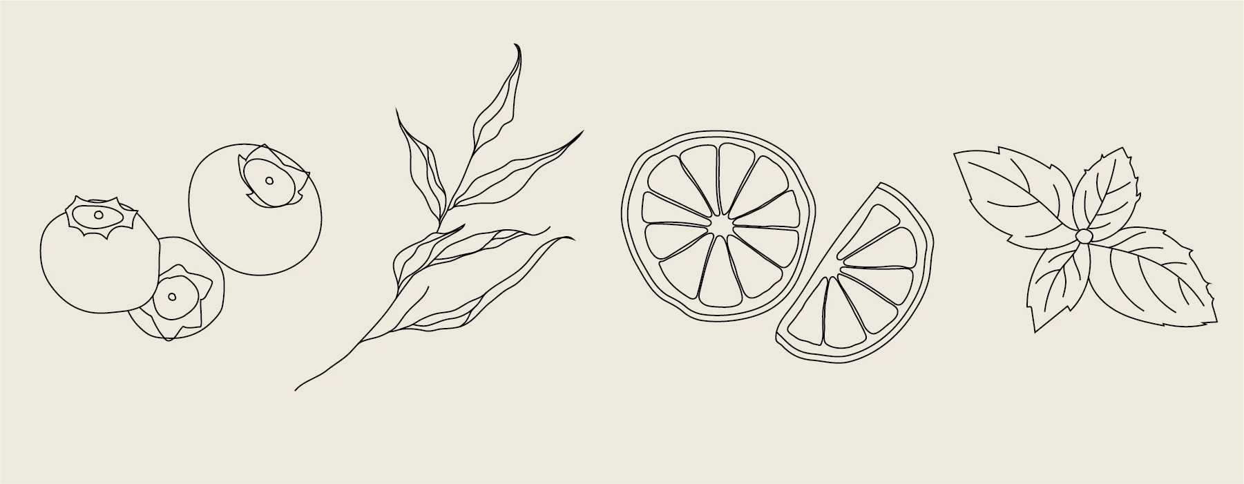 exemples of illustrations for the fresh