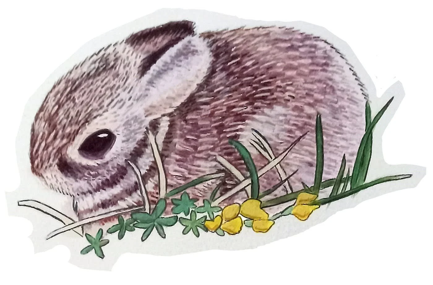 Fineliner pen, acrylic paint, and gouache study of a photograph I took. 