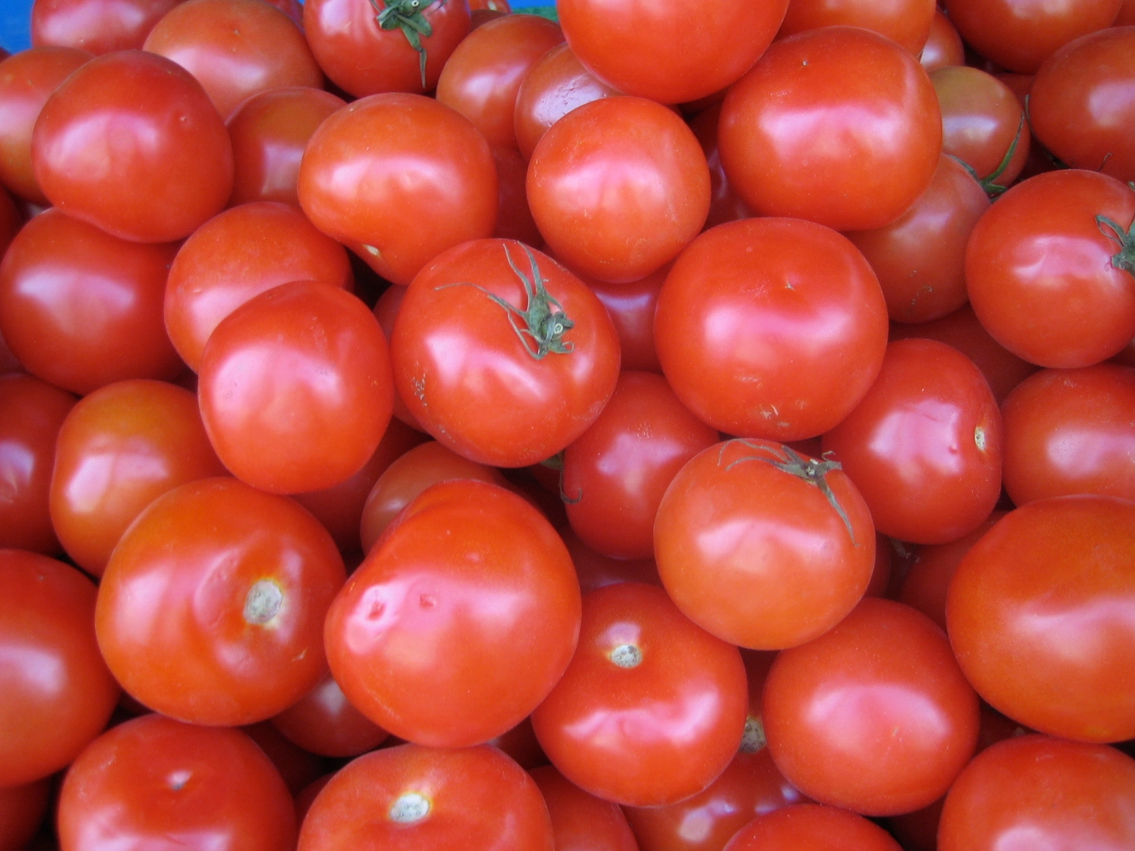 Santa Monica, CA Farmer's Market as a color study