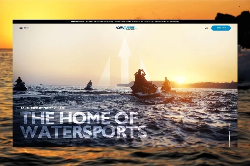 Home Page Hero Section