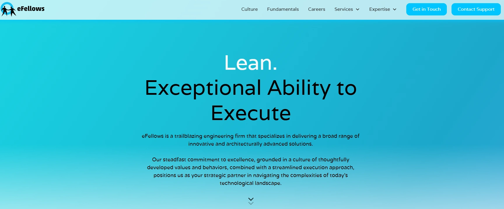 Website Copy | Above the Fold