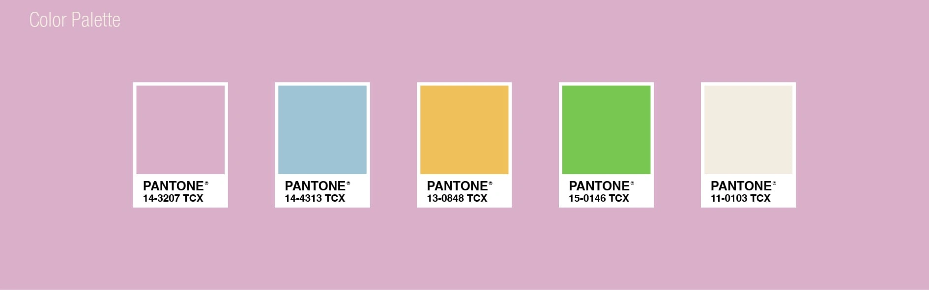 Color Palette