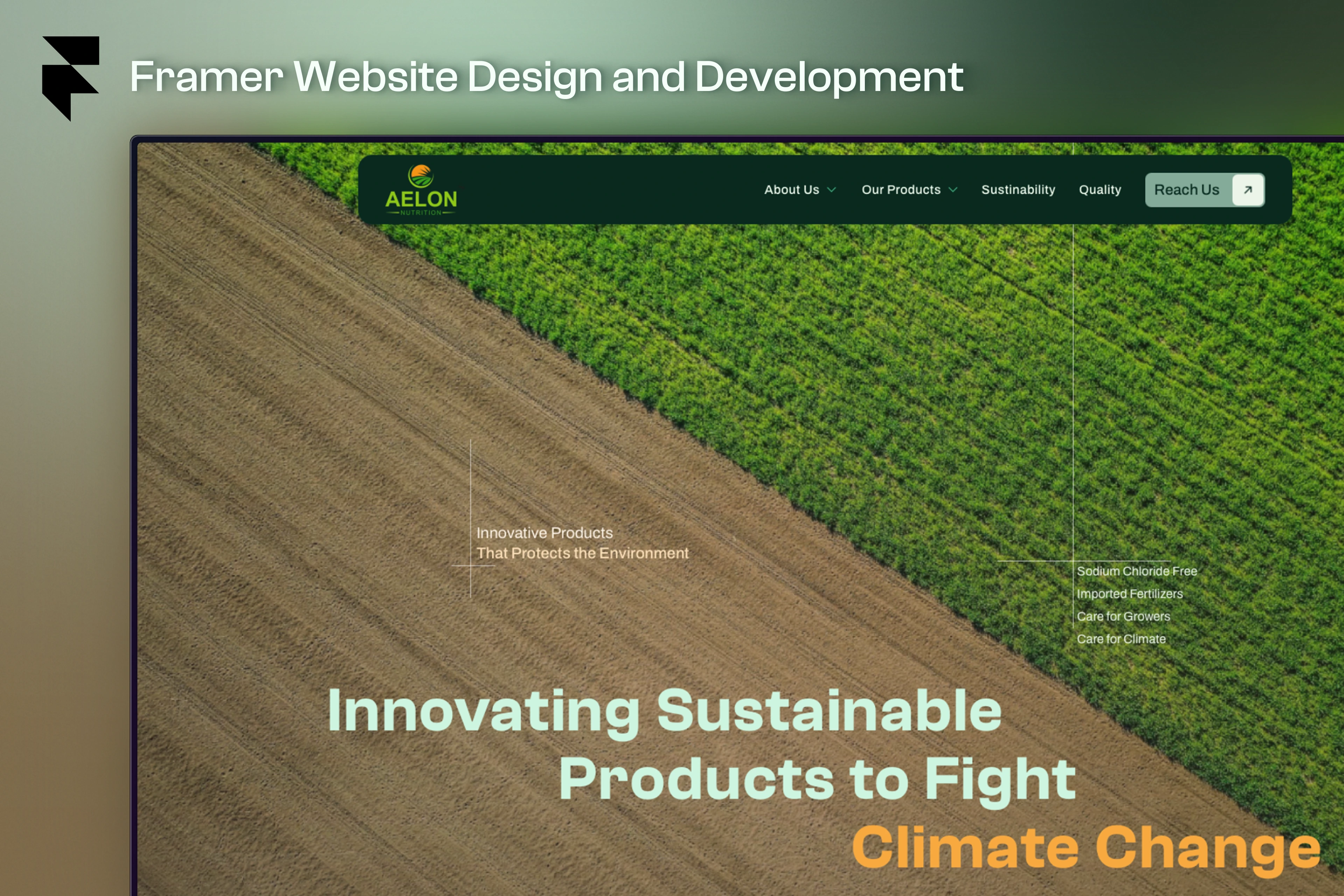 Aelon nutrition framer website homepage