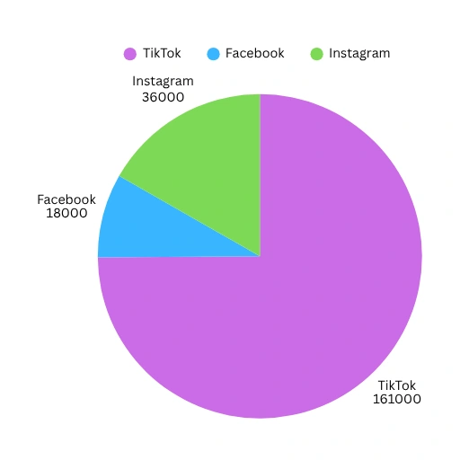 33.3% Average of Total Views
 215,000+ reach combined IG, TikTok, FB