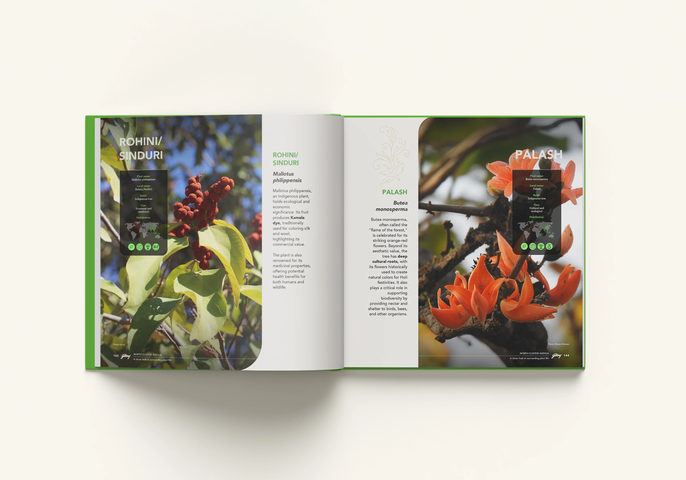 Inside Pages
