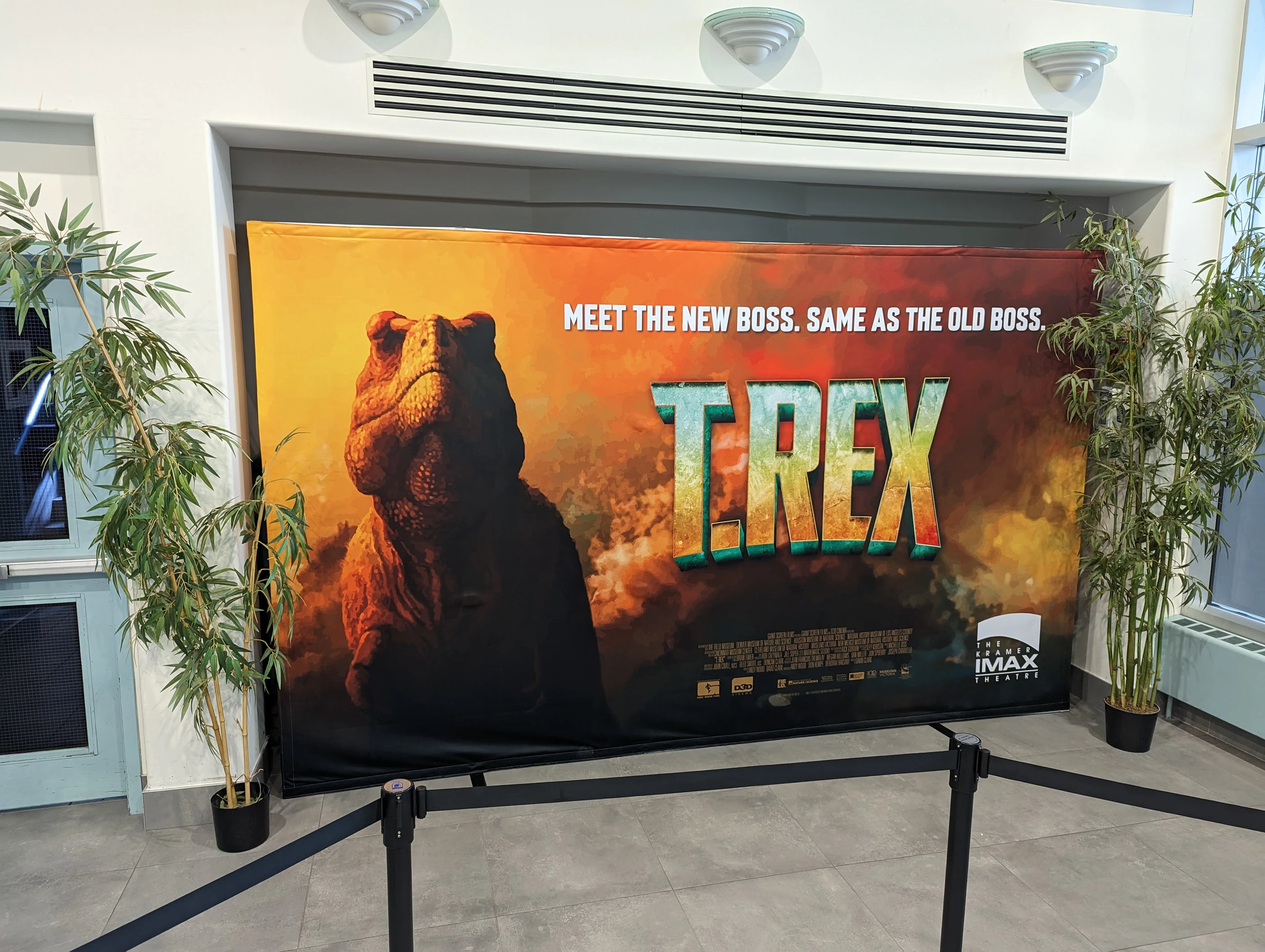 Large Pop Up Display