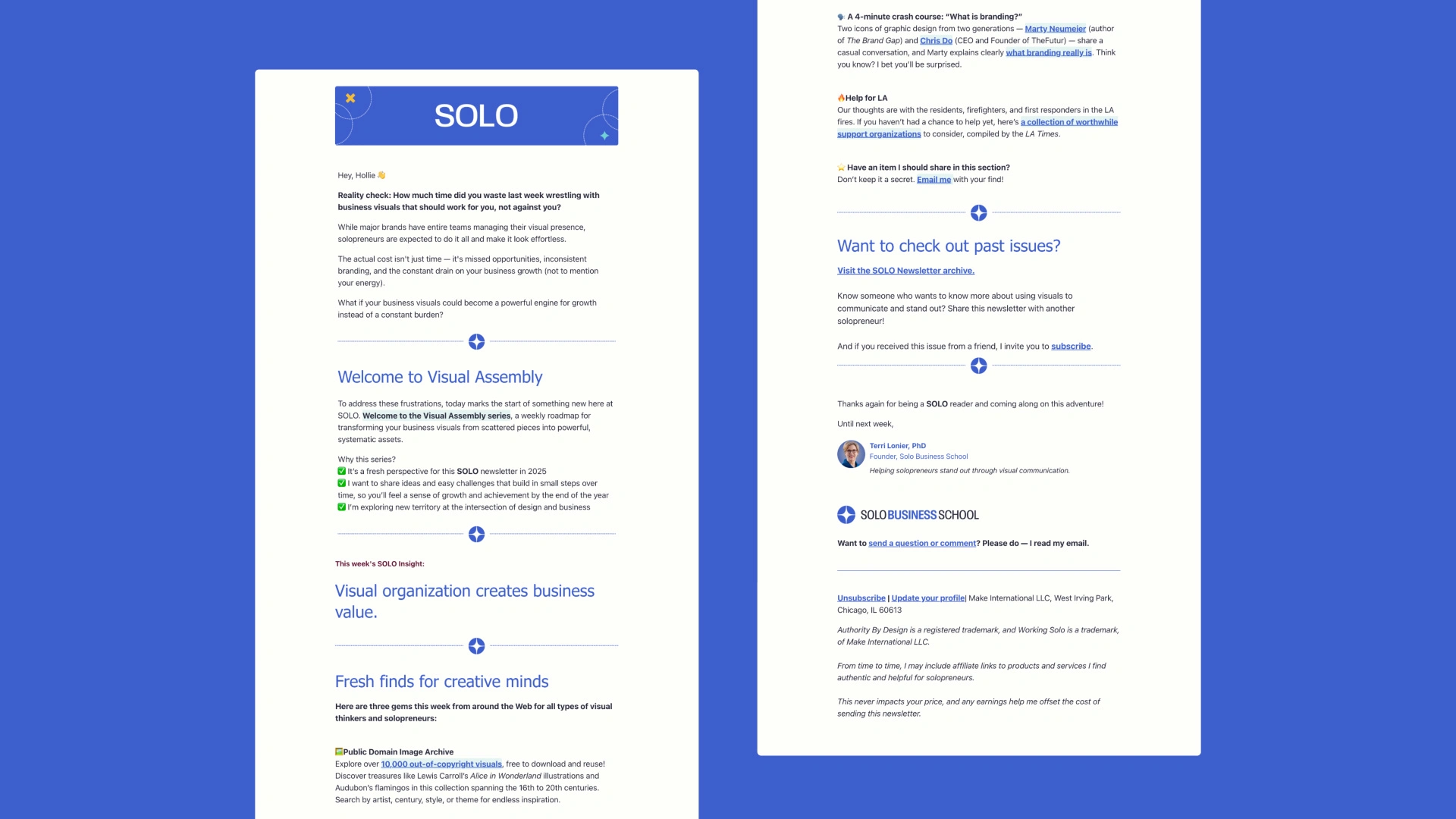 Kit email template for Terri Lonier's brand, Solo Business School