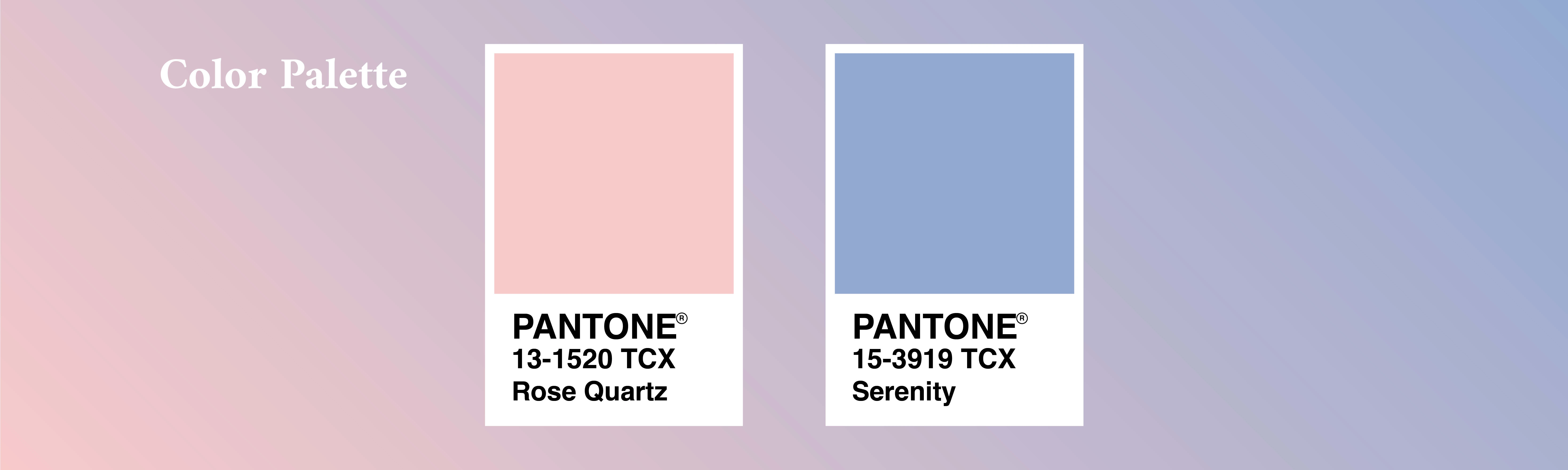 Color Palette