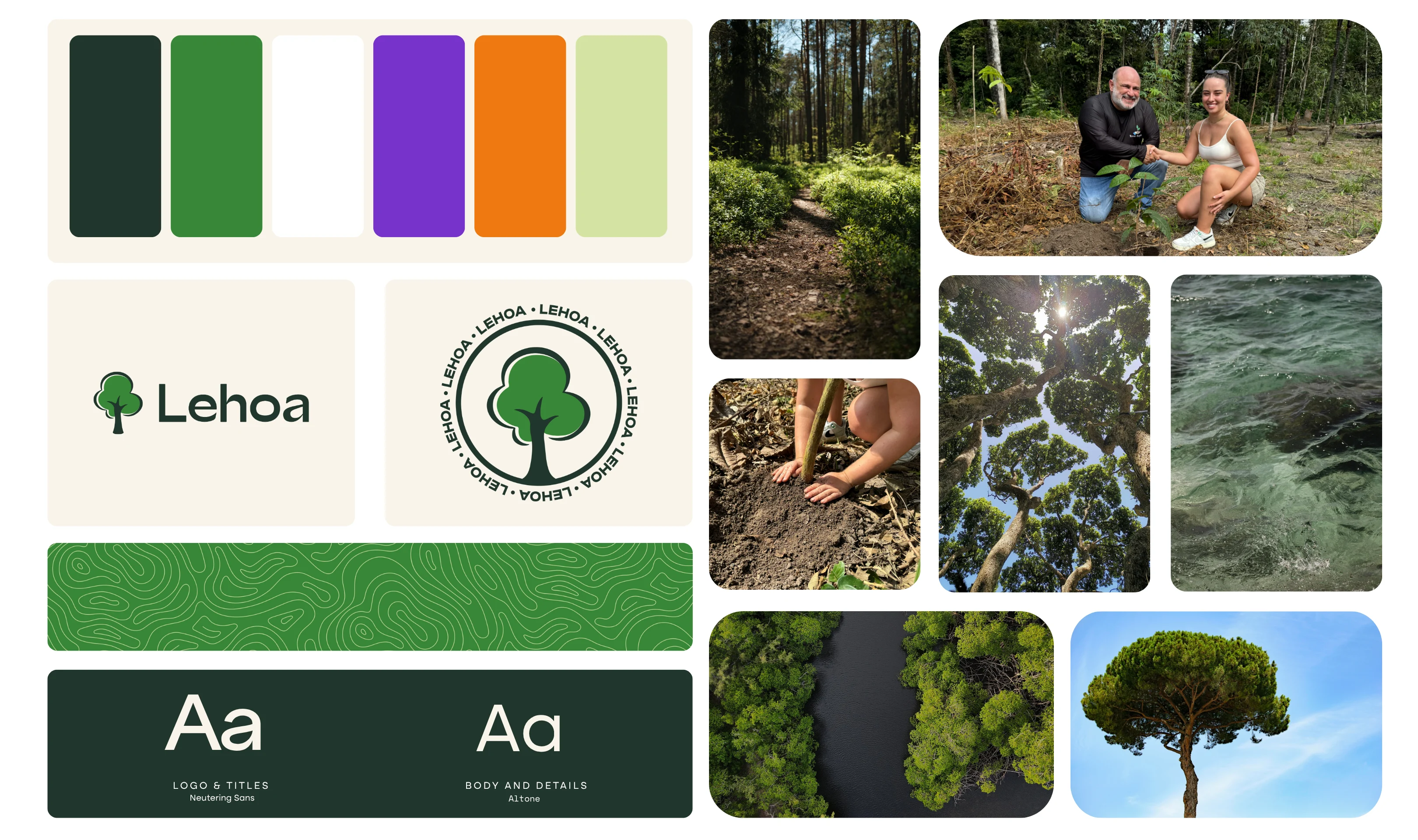 Lehoa's brand moodboard
