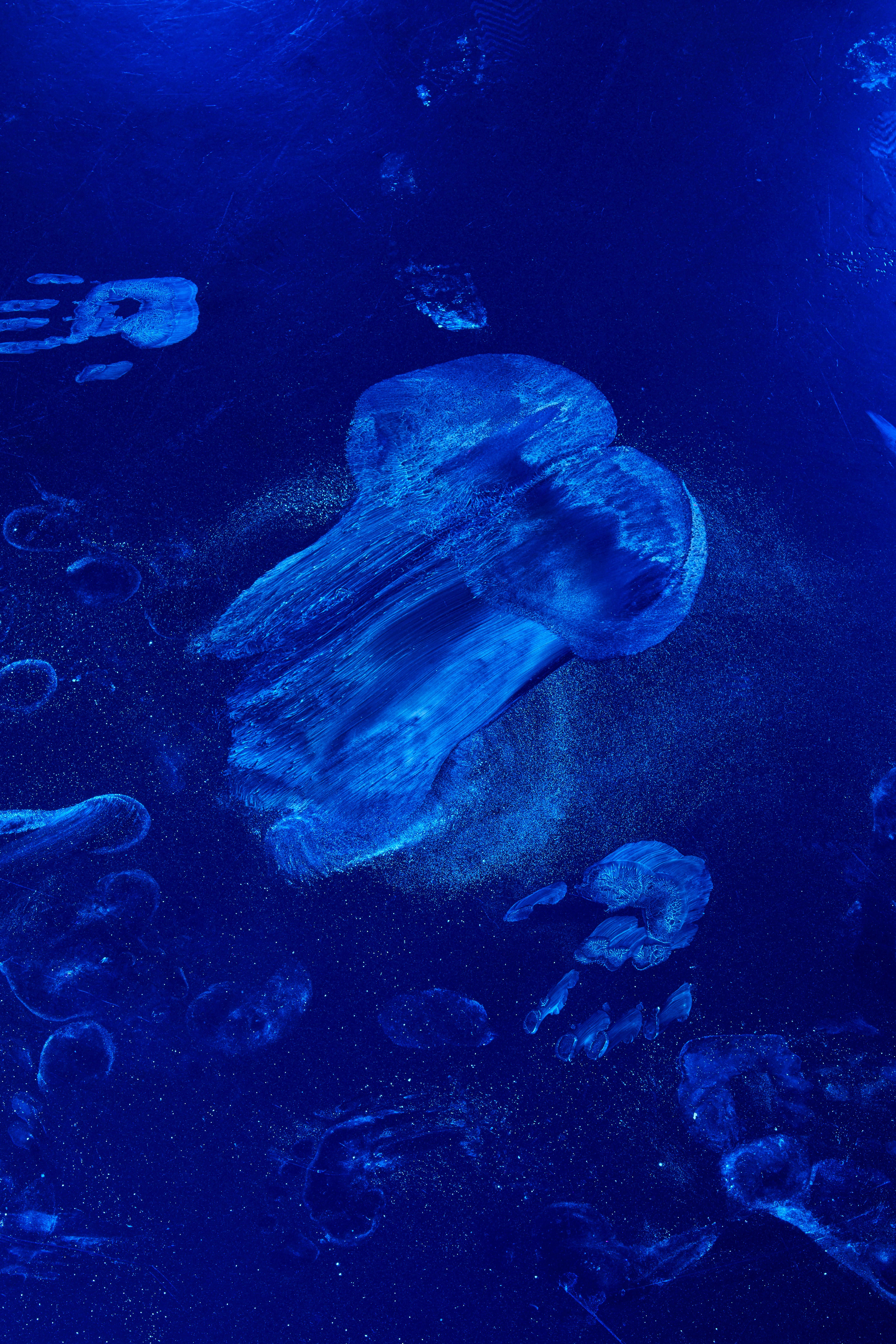 Faster Than An Erection, detail by Reba Maybury. Installation view at Museo per l’Immaginazione Preventiva, MACRO 2021. Photo: Simon d’Exéa. Courtesy of the artist